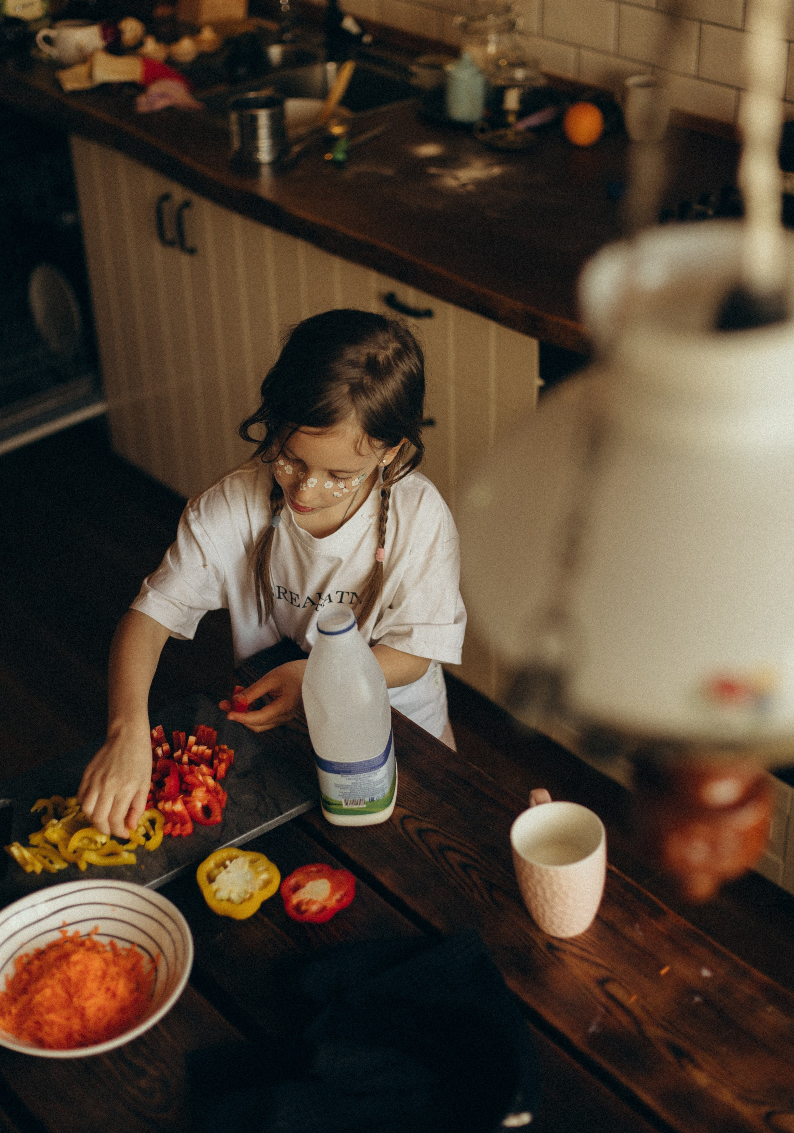 Домашняя история. Meryfotoidea