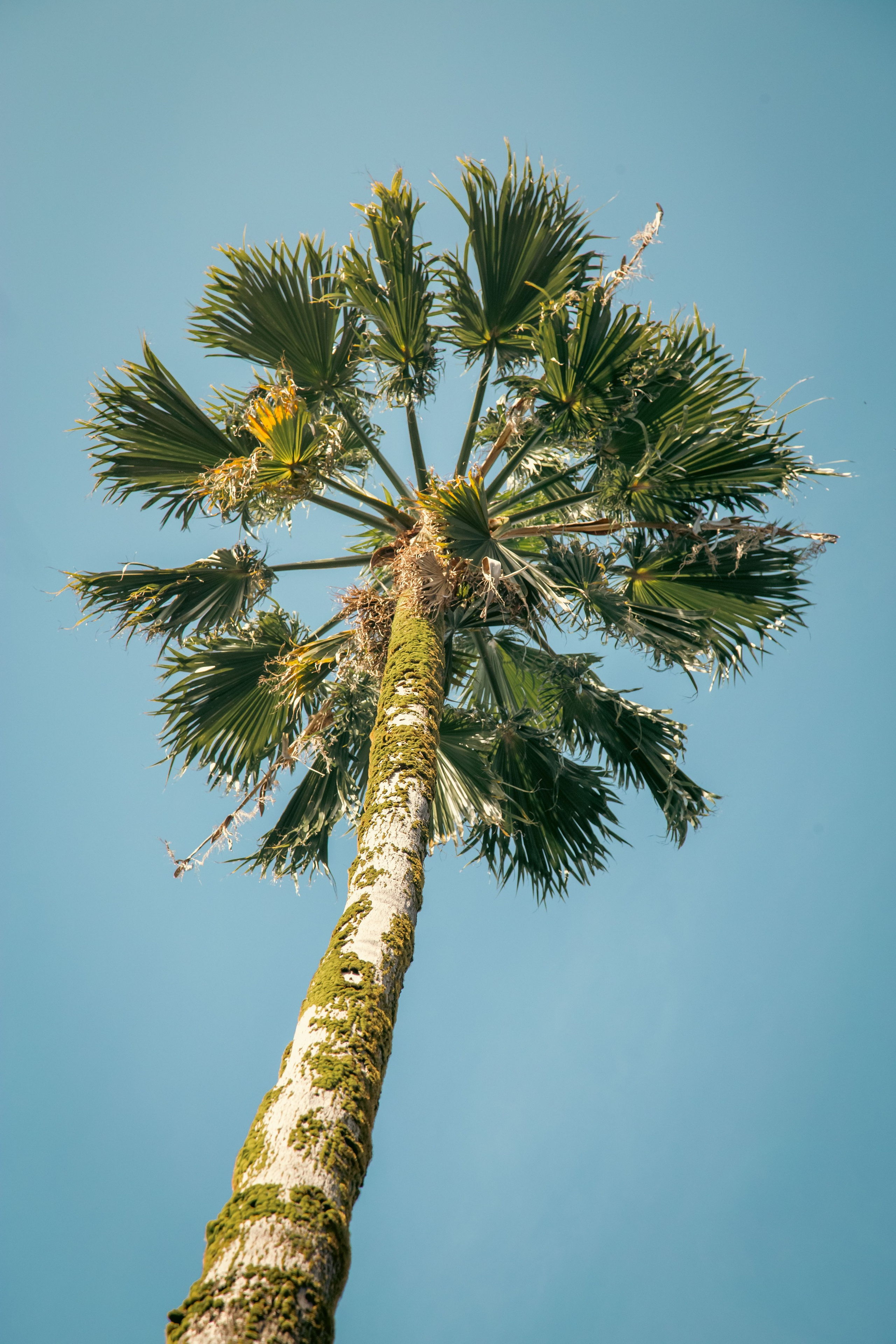 Batumi. Dmitriy [KCCC] is a pretty cool photographer