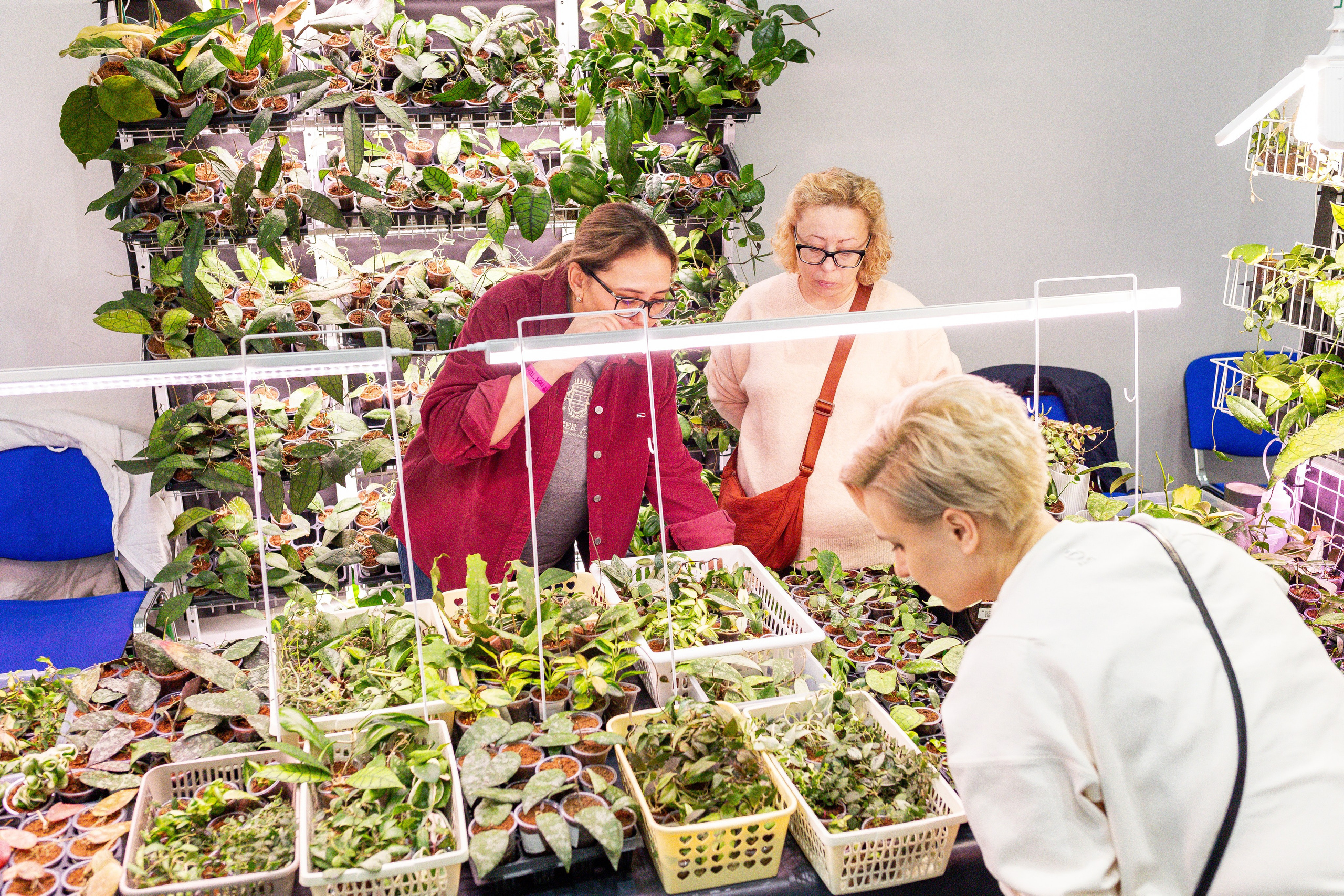 Монстериум апрель 2025. Александра Куликова фотограф, Москва