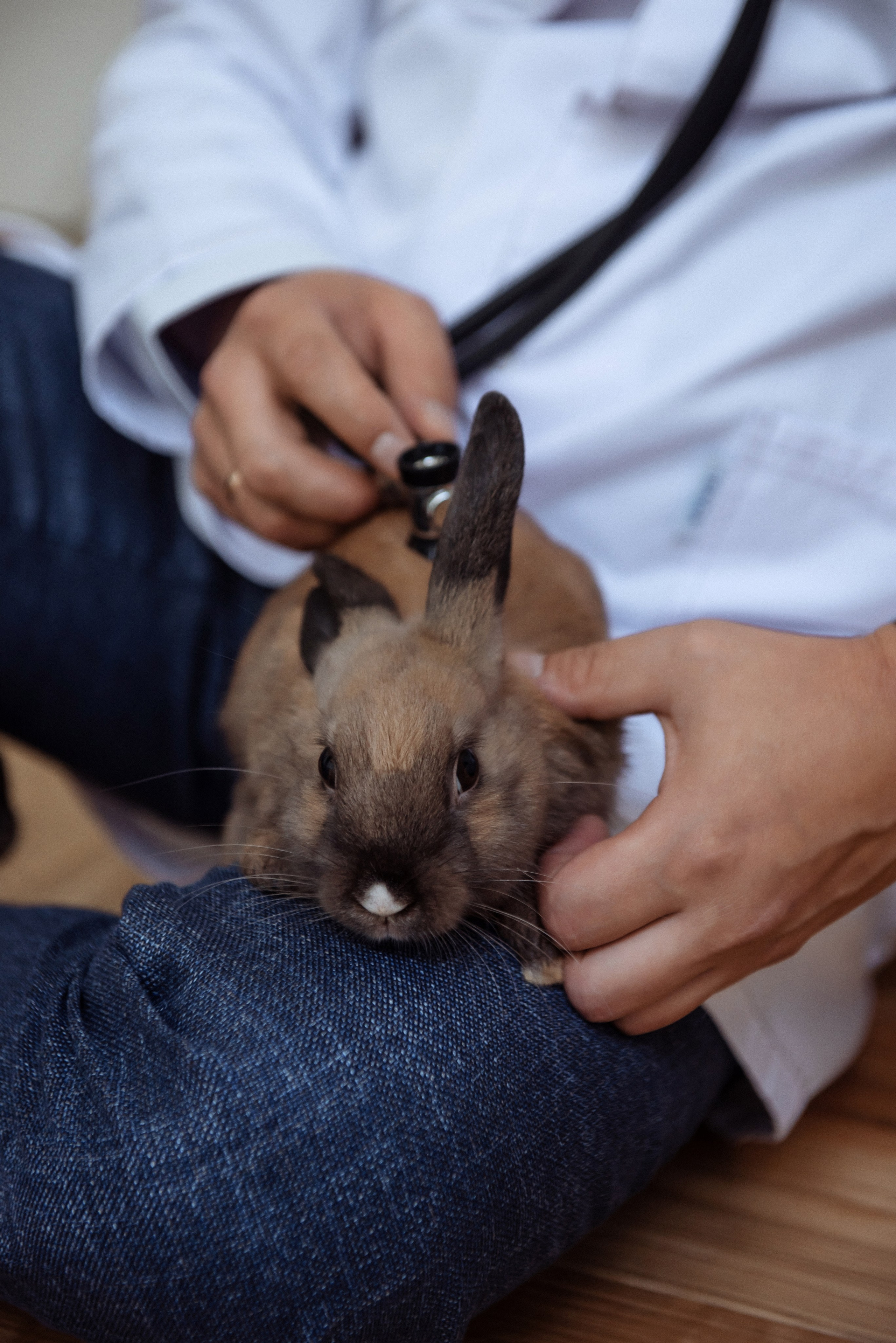 Артем. Свадебный, портретный, фотограф беременности в Нижнем Новгороде Алина Зиновьева