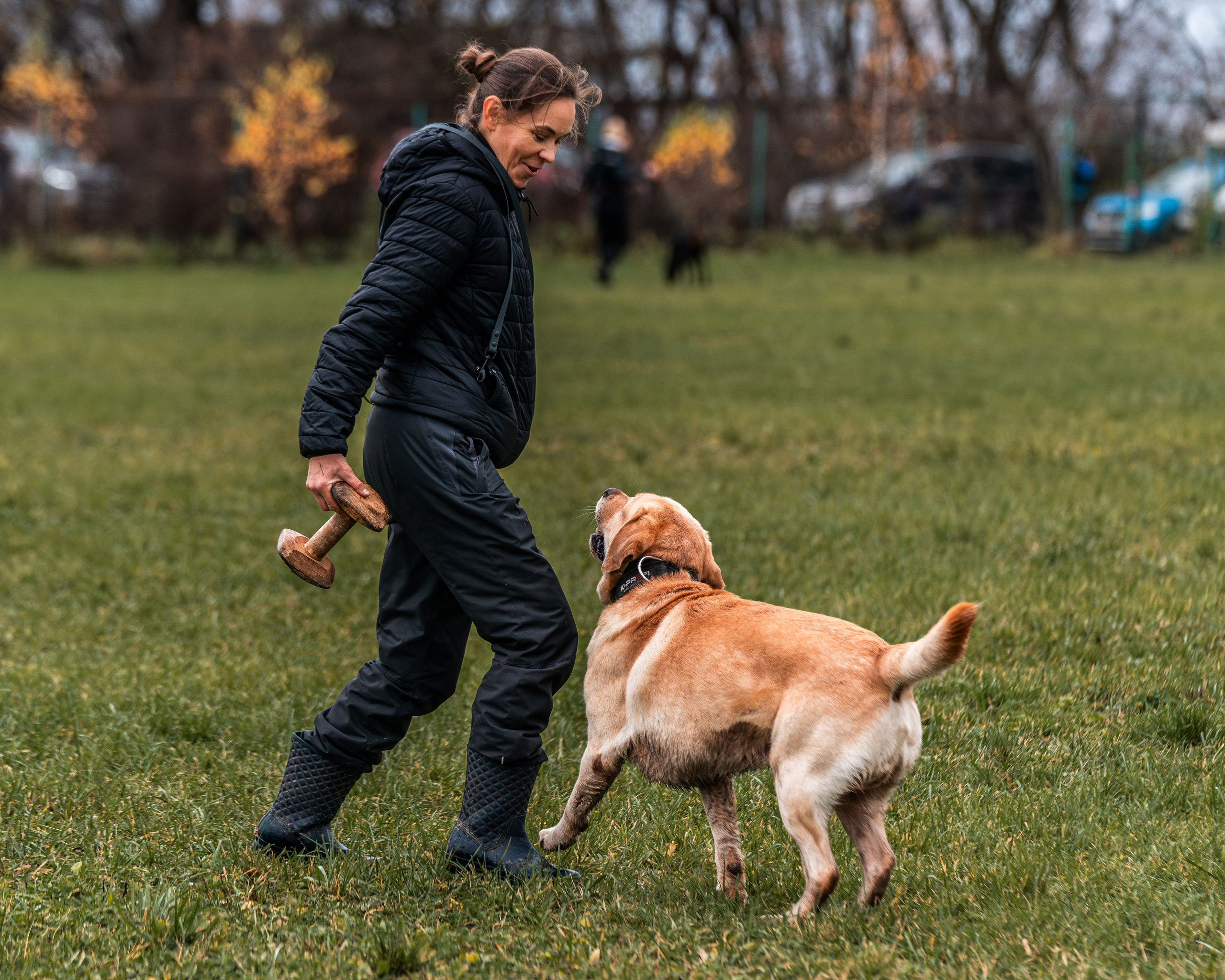 МЫ — КОМАНДА (соревнования) OKD, BH, IBGH, IGP. Фотограф-анималист, семейный фотограф в Москве и Подмосковье. Фотосъёмка кинологических дисциплин