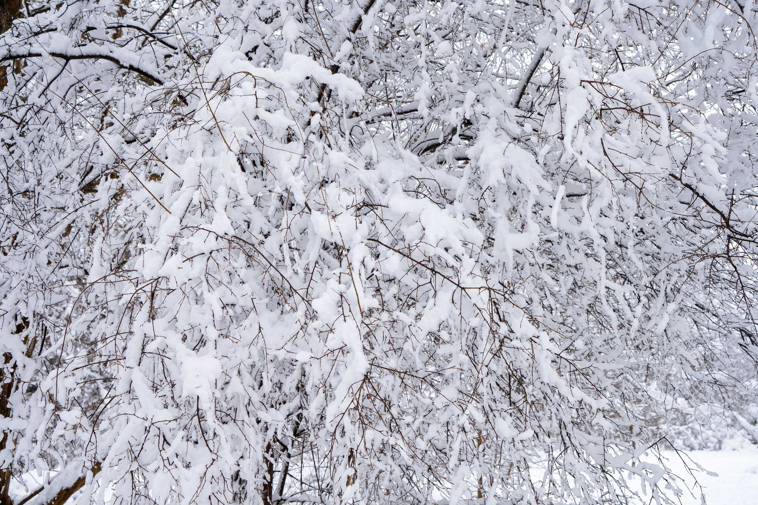 Зима 2024. Свадебный и семейный фотограф/видеограф в Краснодаре Наталья Осинская
