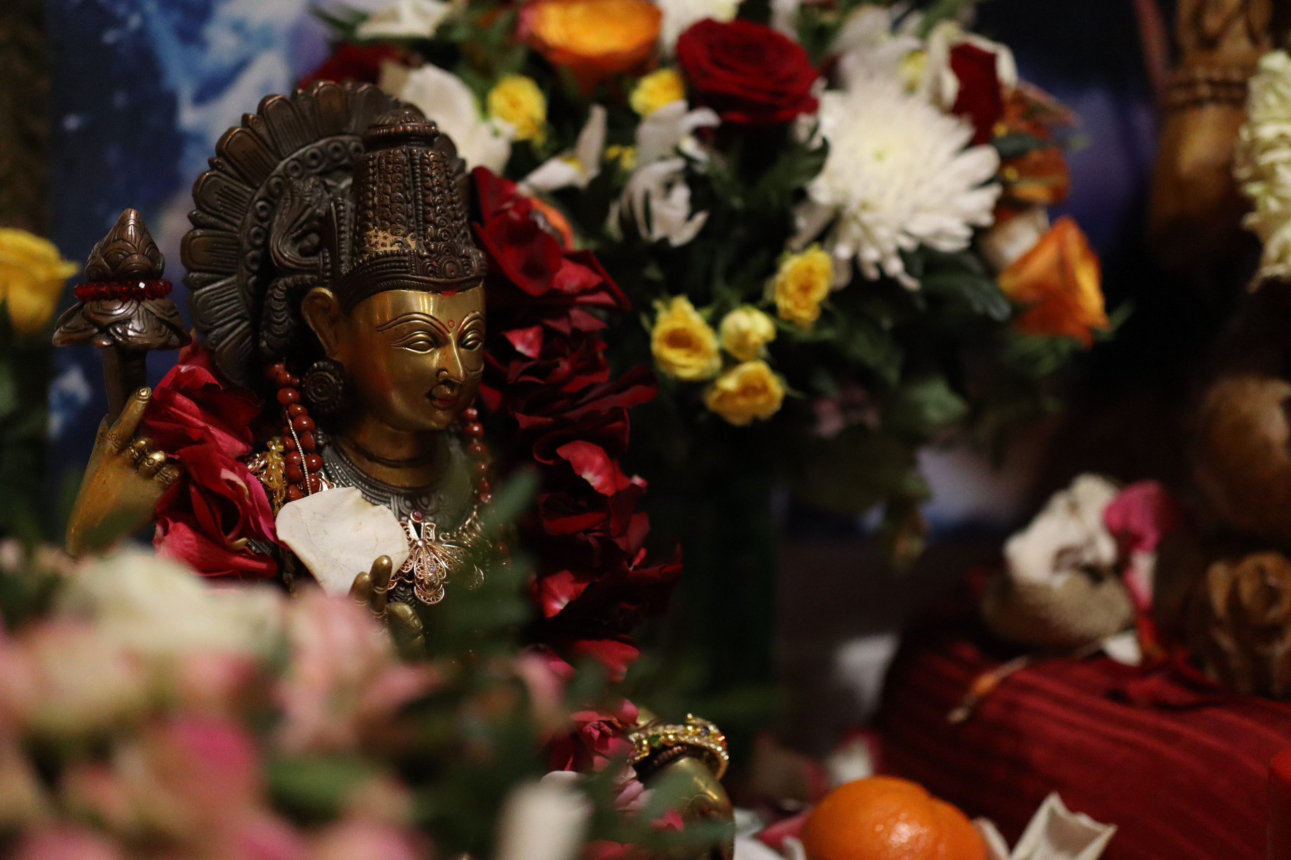 MahaShivaRatri2024. Photo Ninja