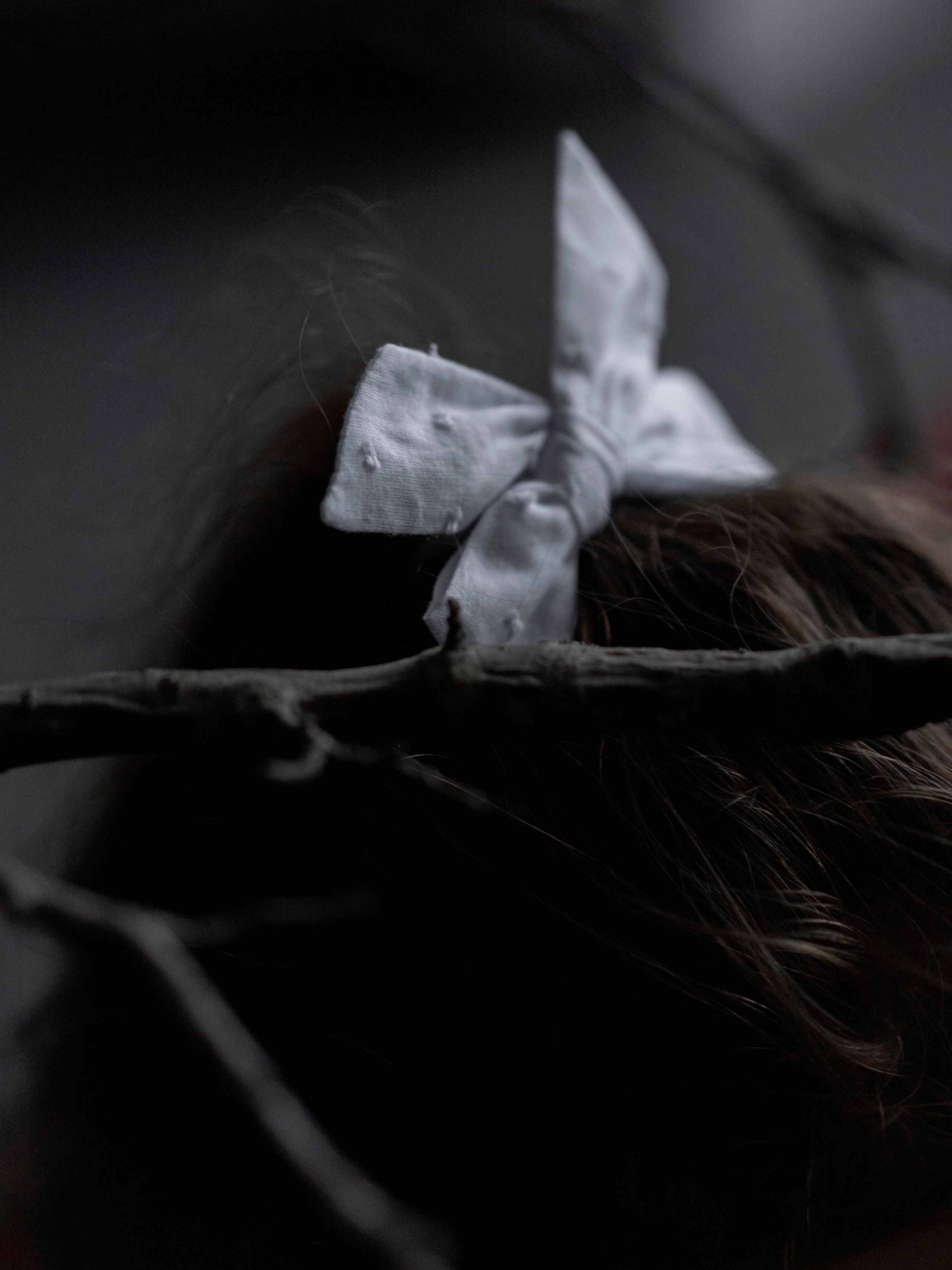 Веточки. Семейный и детский фотограф в Москве