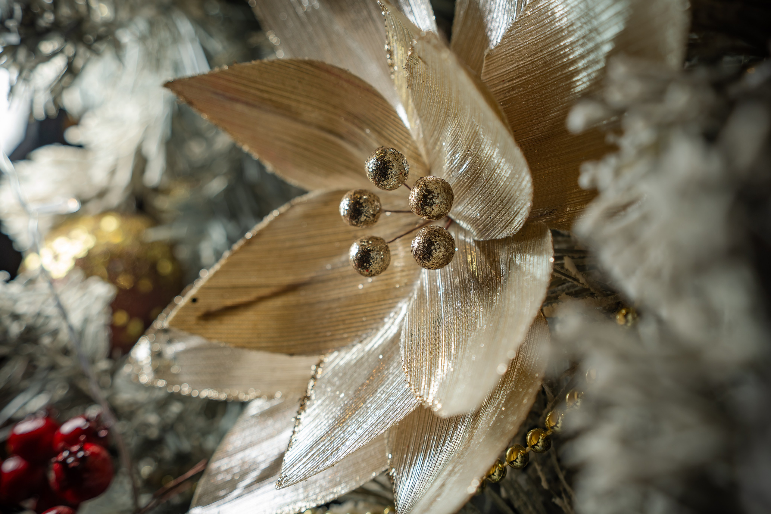 Сборные корпоративы в ресторане «Плюшкин» Декабрь 2025. Фотограф Александр Вишняков