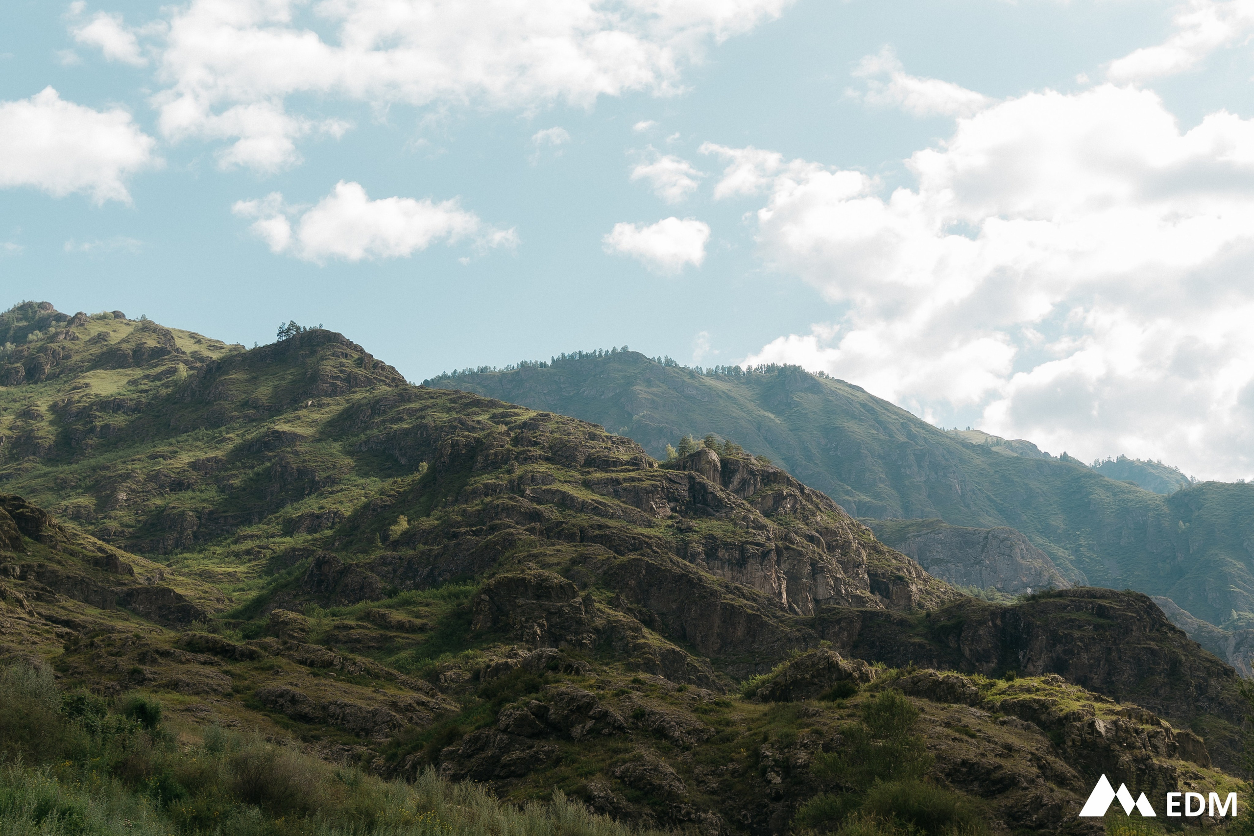 EDM2025. Фотограф Новосибирск Вероника Вишневская