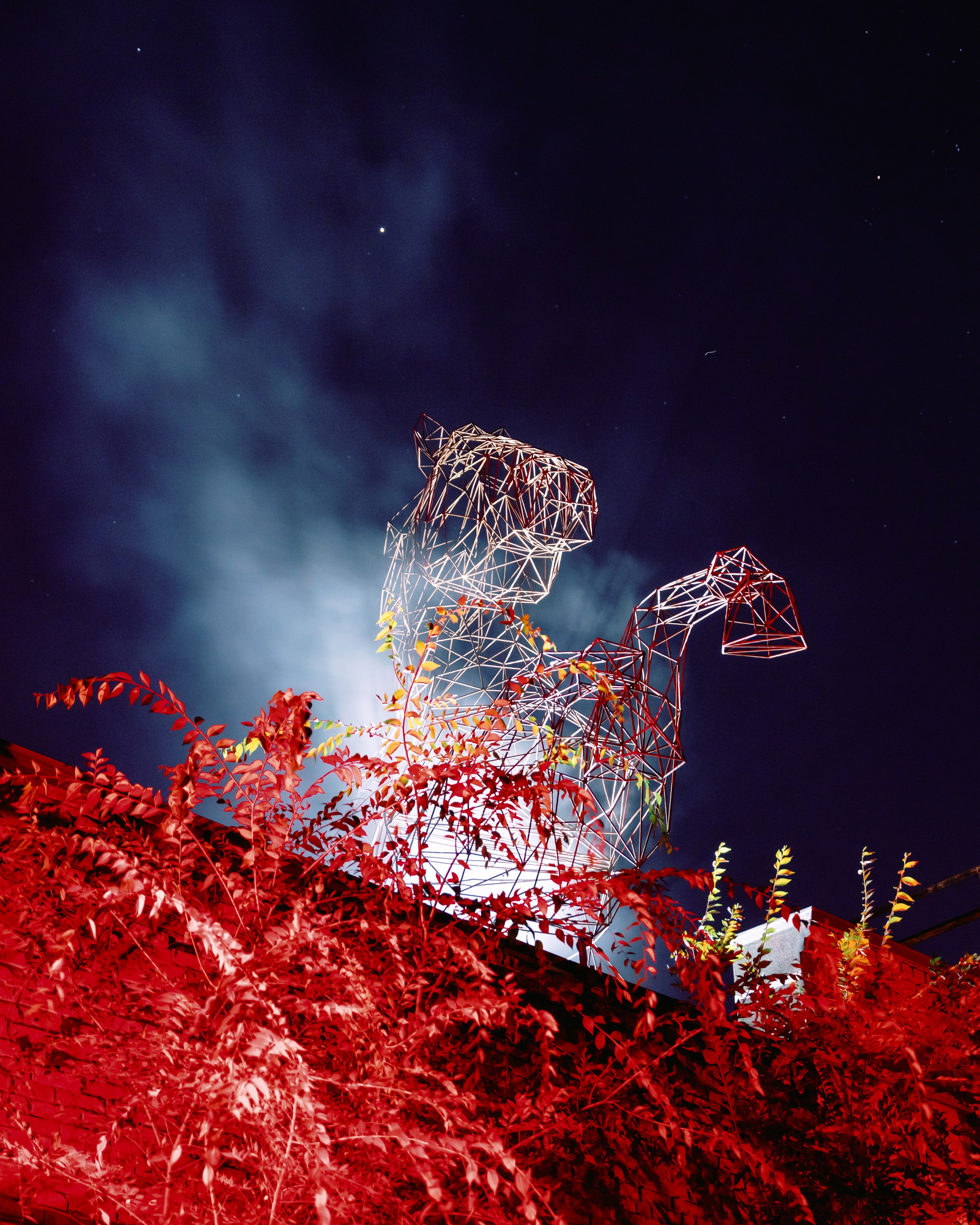 ARMA. @tomrus: Рустам Шагиморданов — фотограф