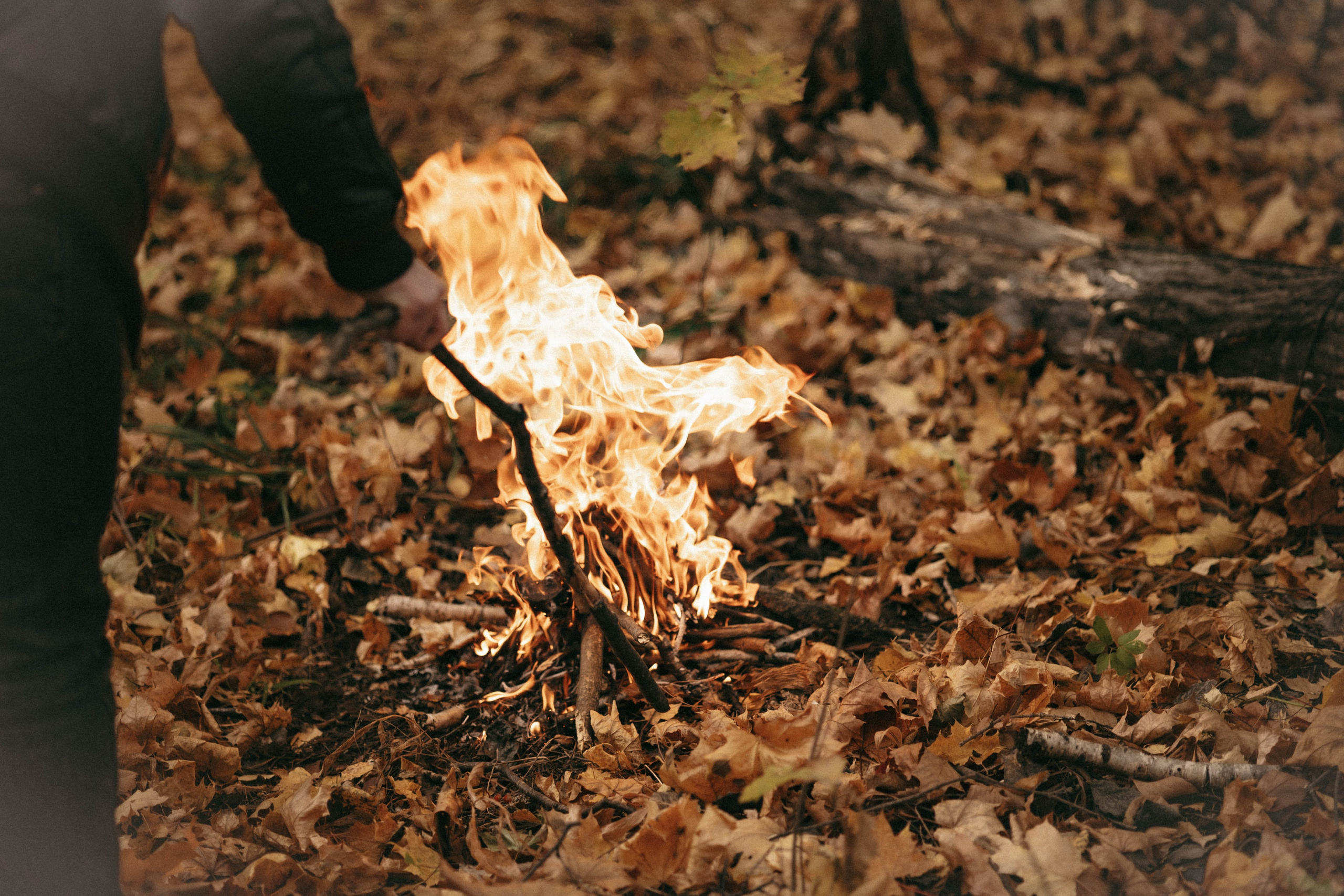 Осеняя. Фотограф Юлия Хакимова / Казань/ Чистополь