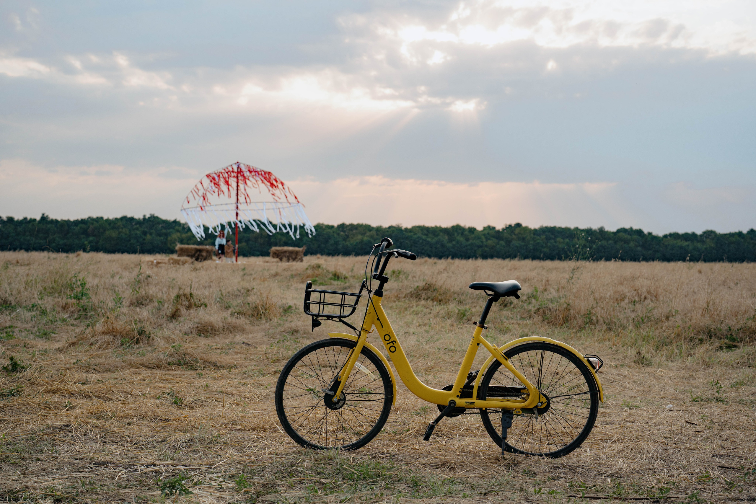 ASS FAMILY | СОН В ДЕРЕВНЕ | АВИАРЕЖИМ 8.0