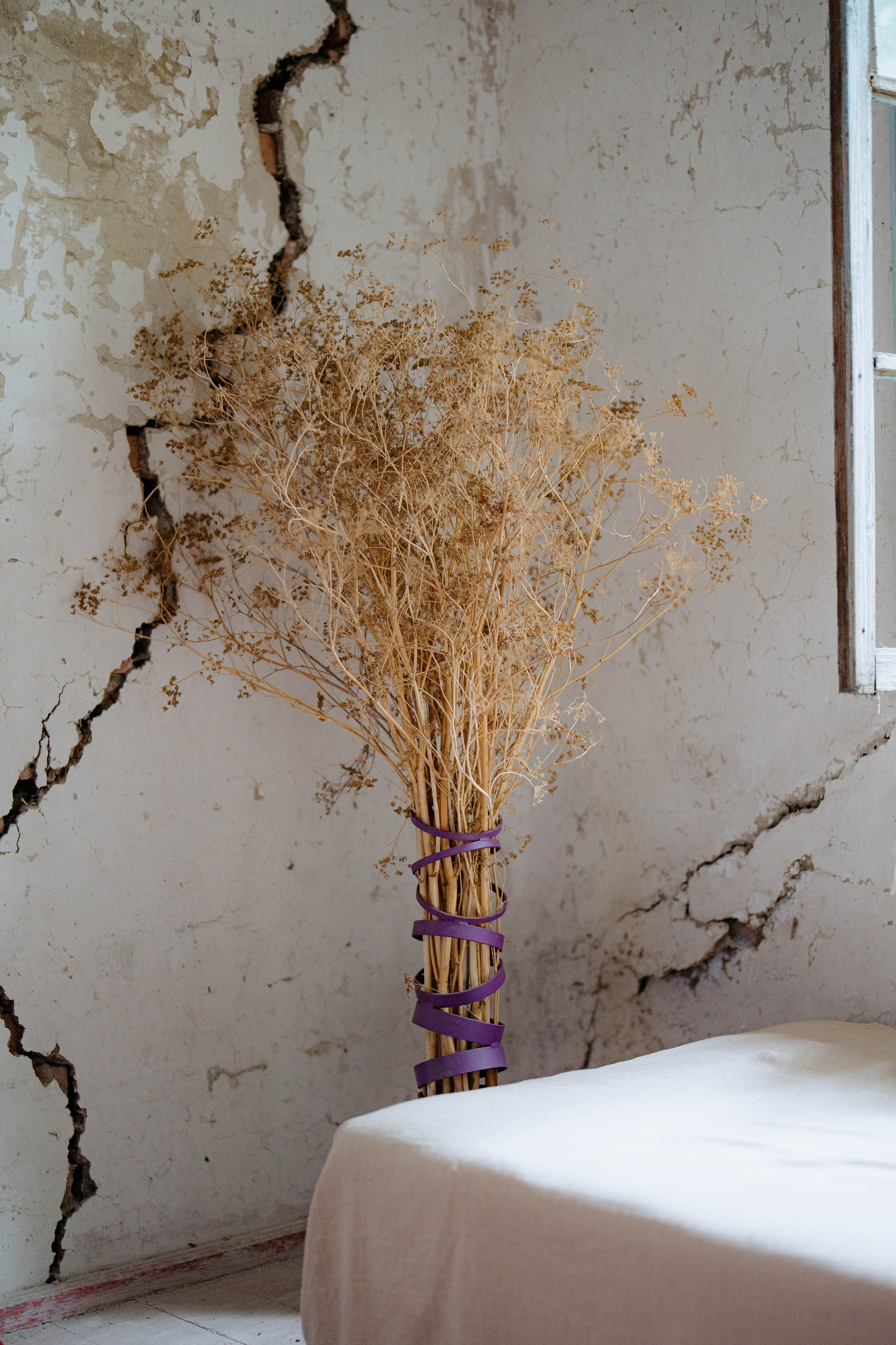 ASS FAMILY | СОН В ДЕРЕВНЕ | АВИАРЕЖИМ 8.0