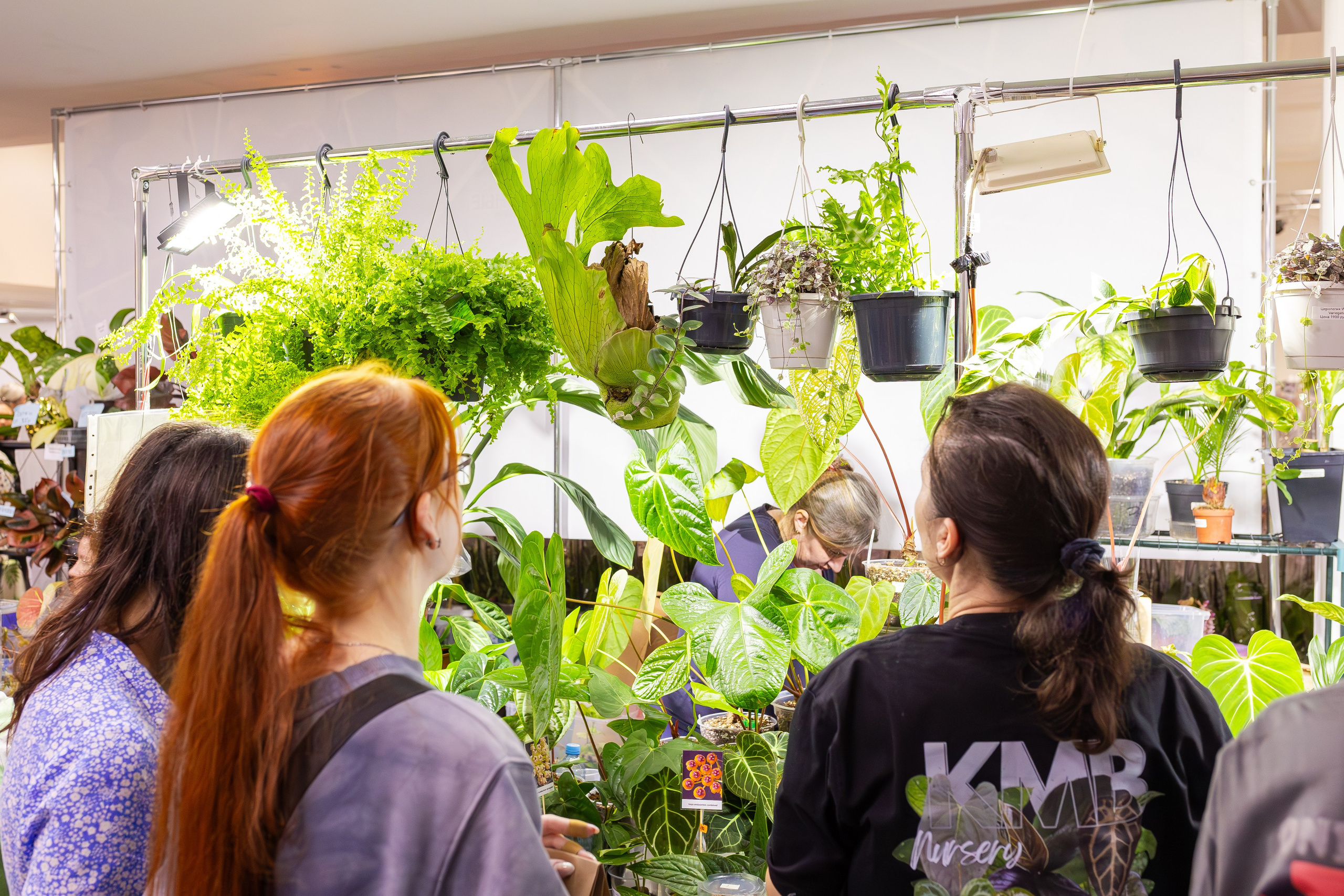 Орхидиум сентябрь 2025. Александра Куликова фотограф, Москва