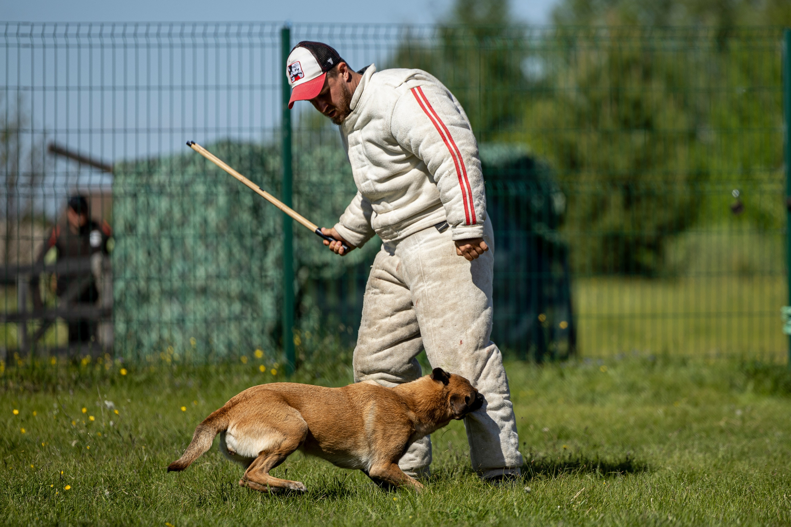 Испытания по мондьорингу в Нижнем Новгороде. Фотограф-анималист Анна Маринич
