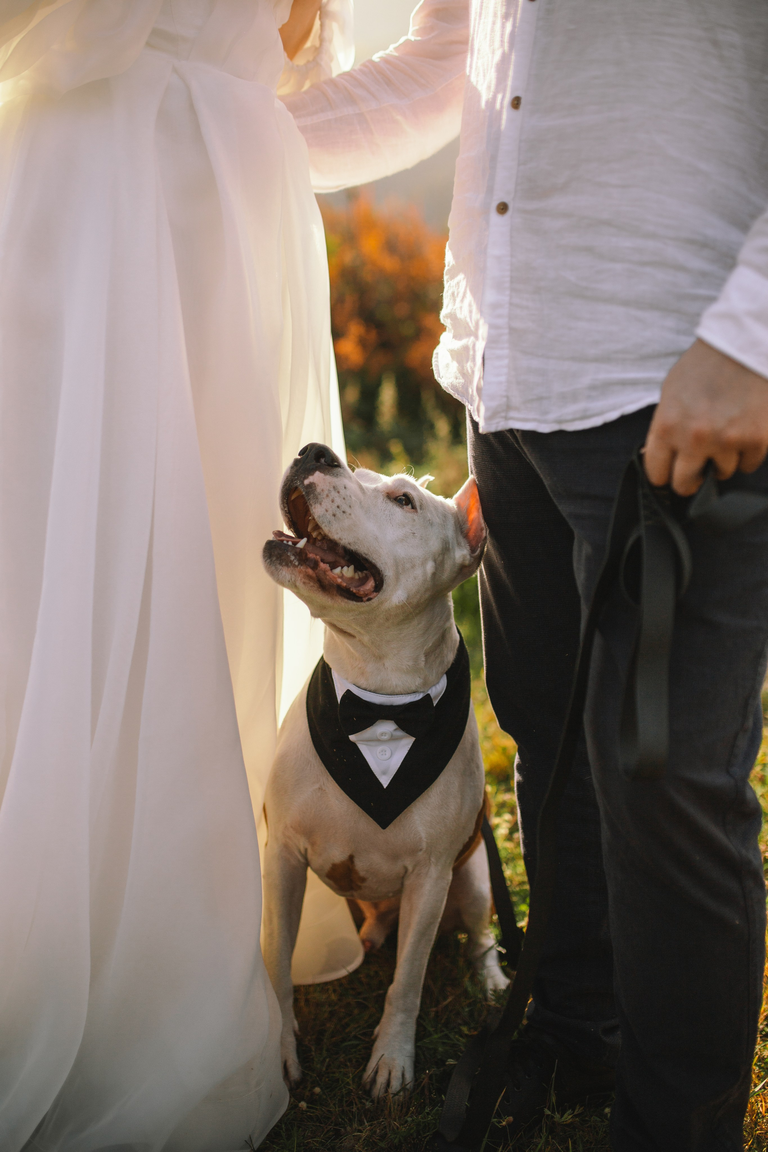 Фотограф Горный Алтай