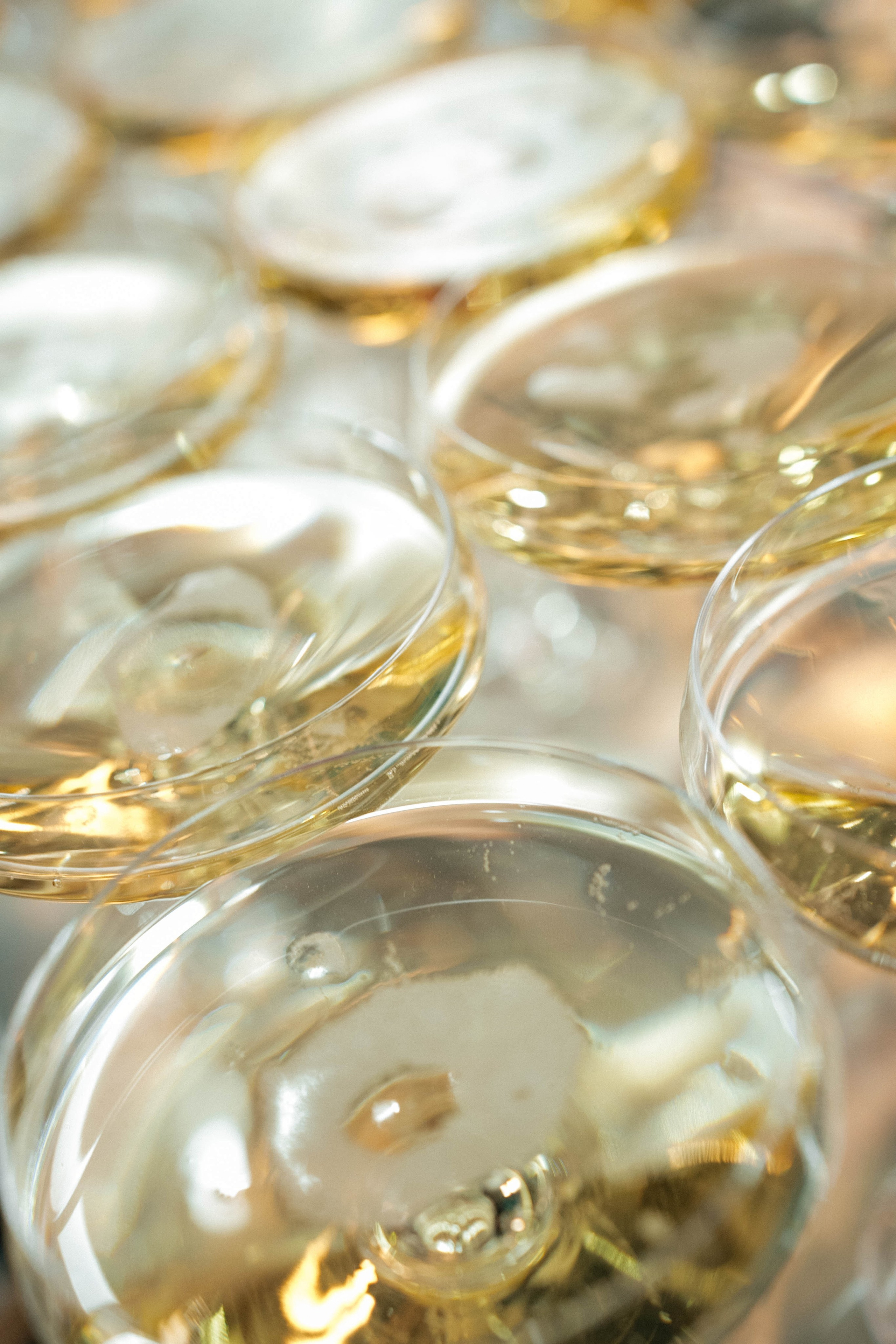 VETVI | Олег Клодт | ARTDOM. Свадебный фотограф Москва Александра Аверкова