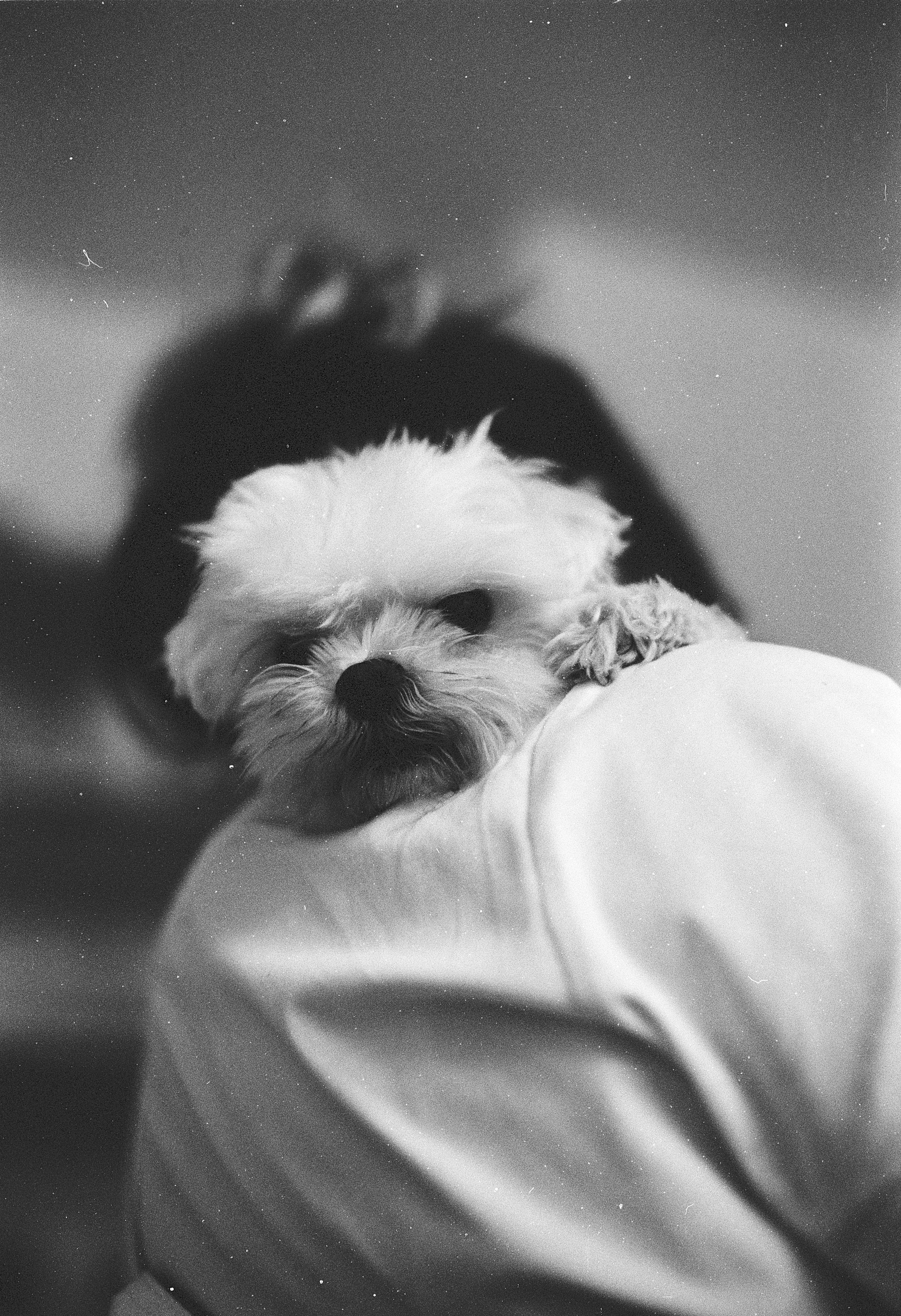 D&B 2. Stylist and film photographer Anastasia Shlokova