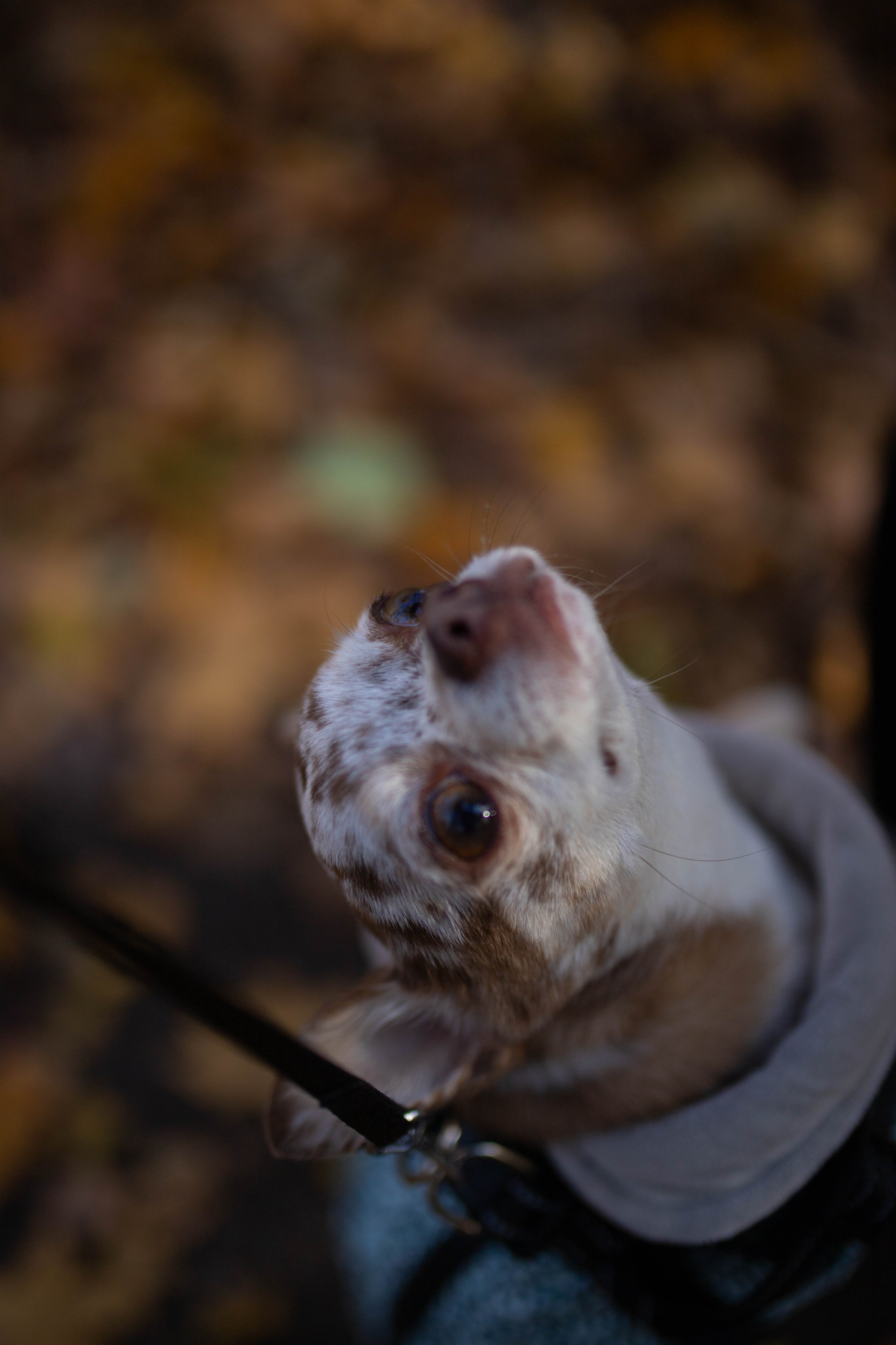 Забег «Пьяный квадрат». Александра Мельниченко/ Бегающий фотограф