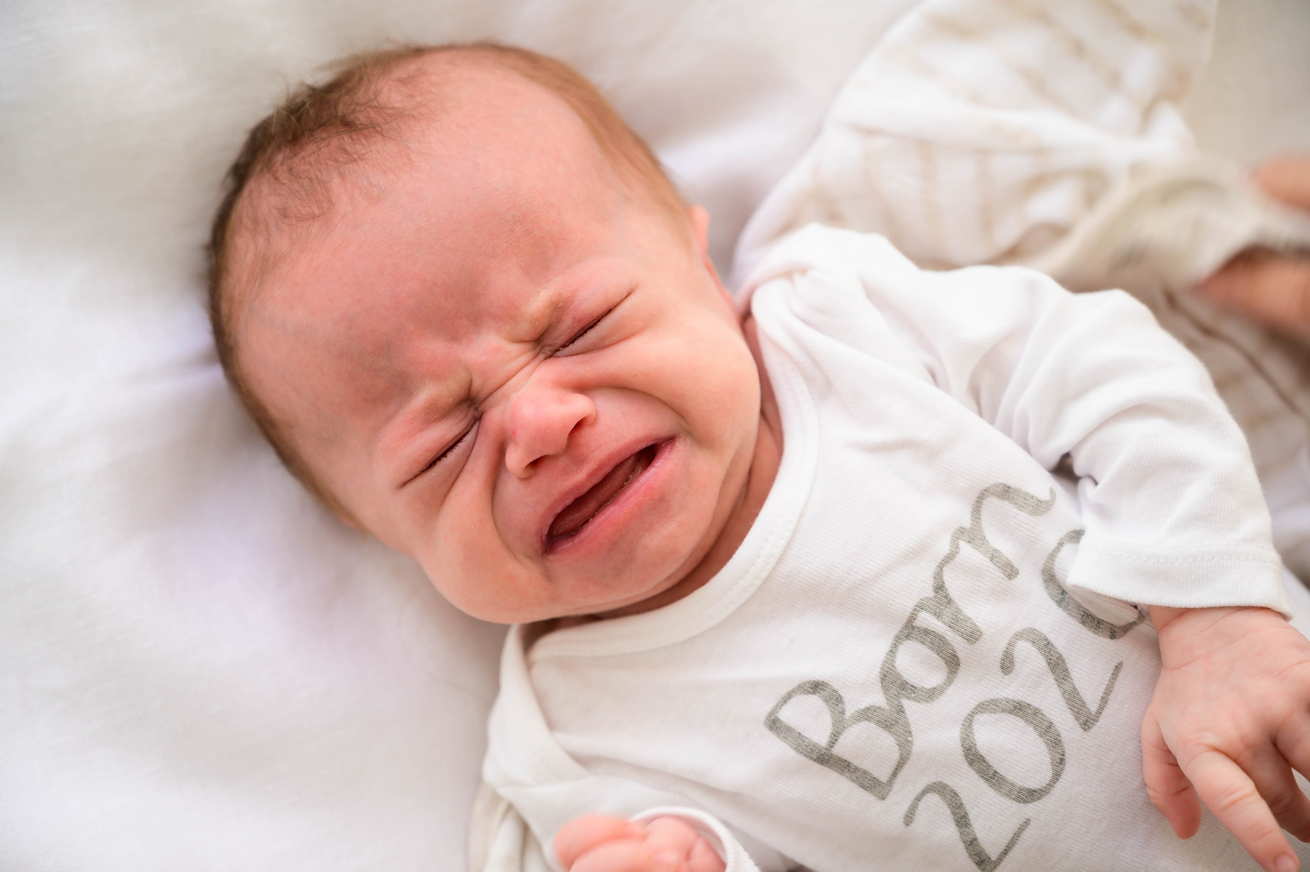 Лера. Фотограф беременности и семьи, домашние съемки