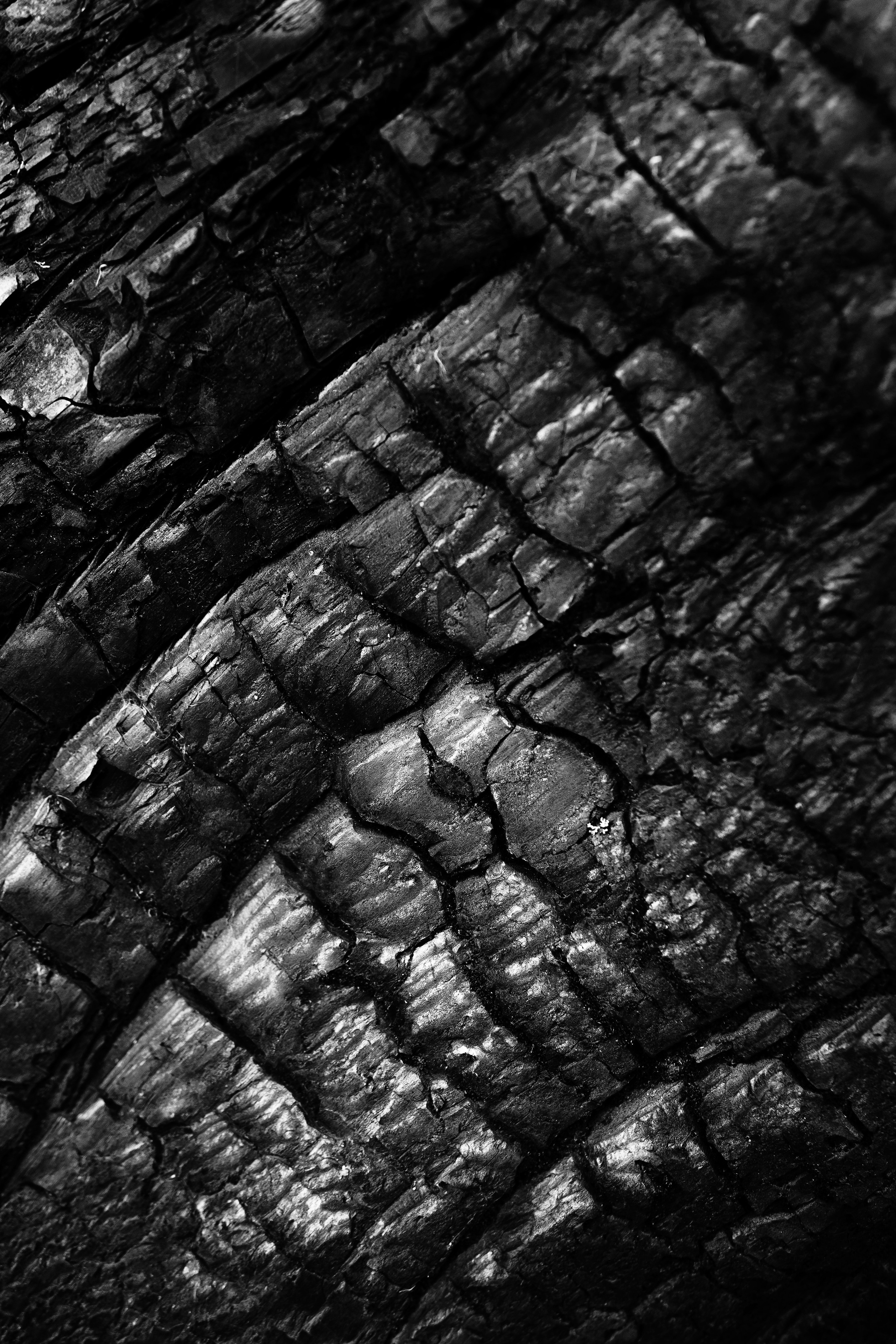 Жизнь. Фотограф Алматы | Весь мир — Никита Колодин