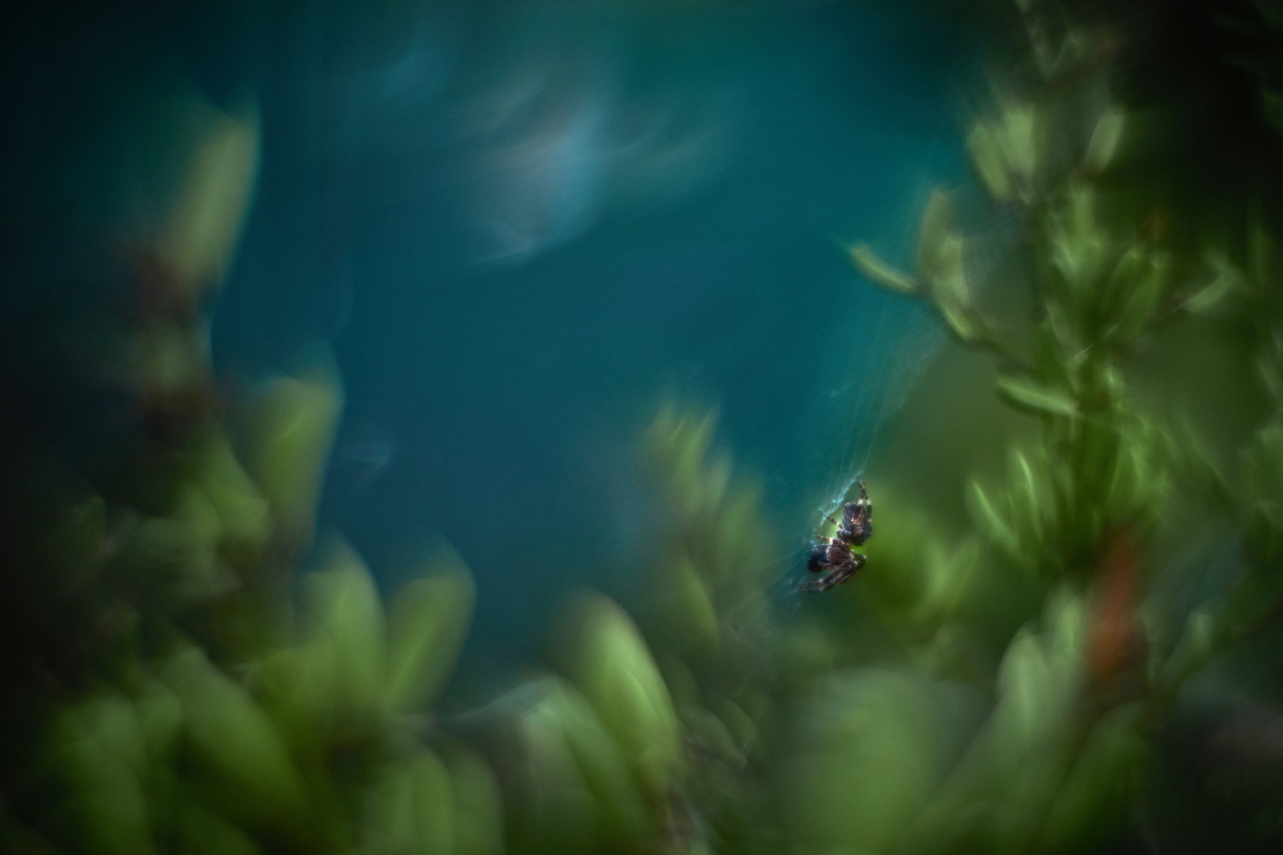 «Незримые Миры». Арт-фотограф во Владивостоке Дмитрий Осипчук