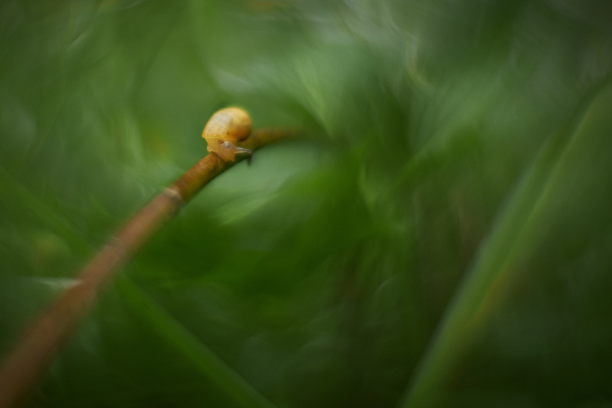 «Незримые Миры». Арт-фотограф во Владивостоке Дмитрий Осипчук