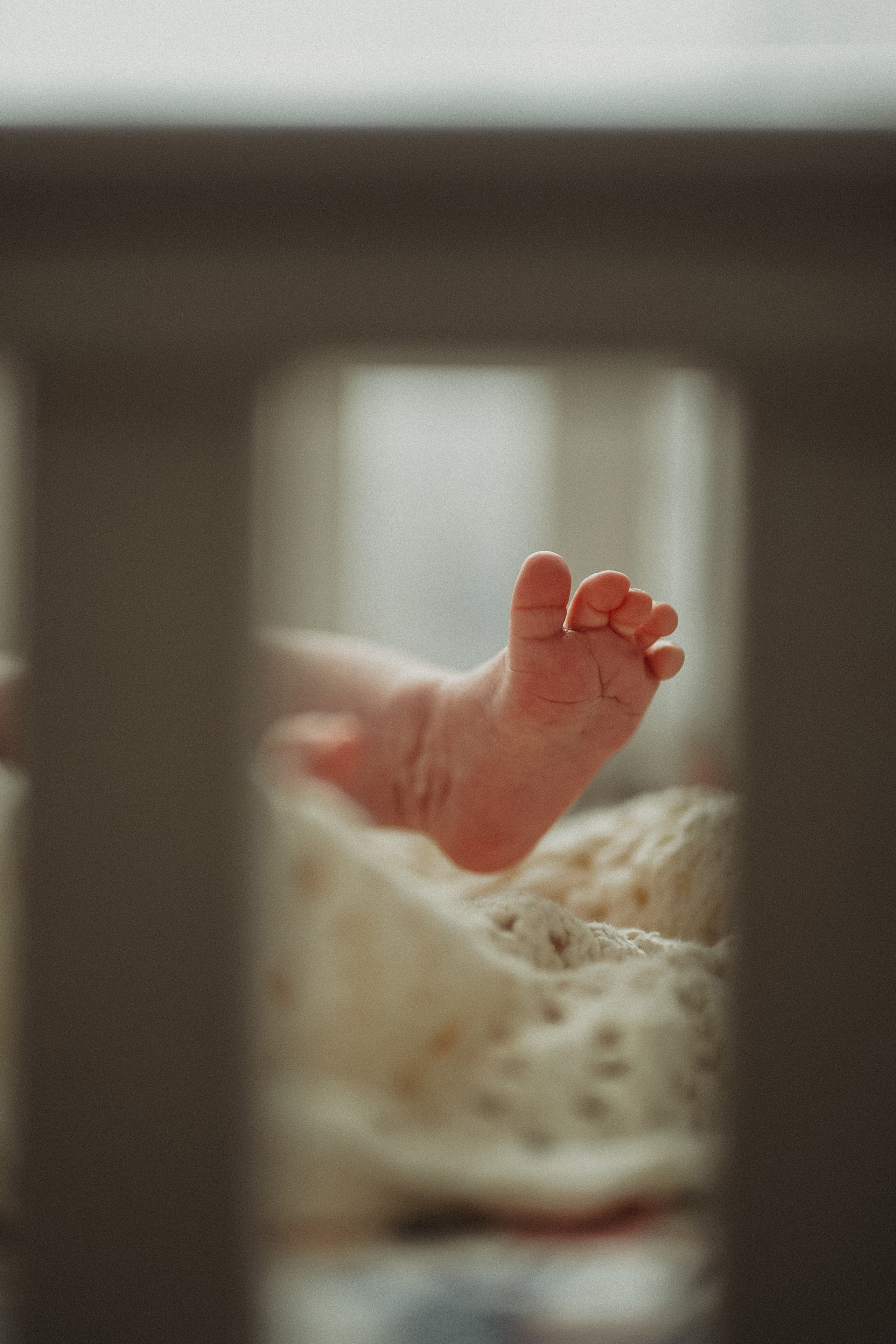 Елена, Андрей и малыши. Фотограф Наталья Колганова