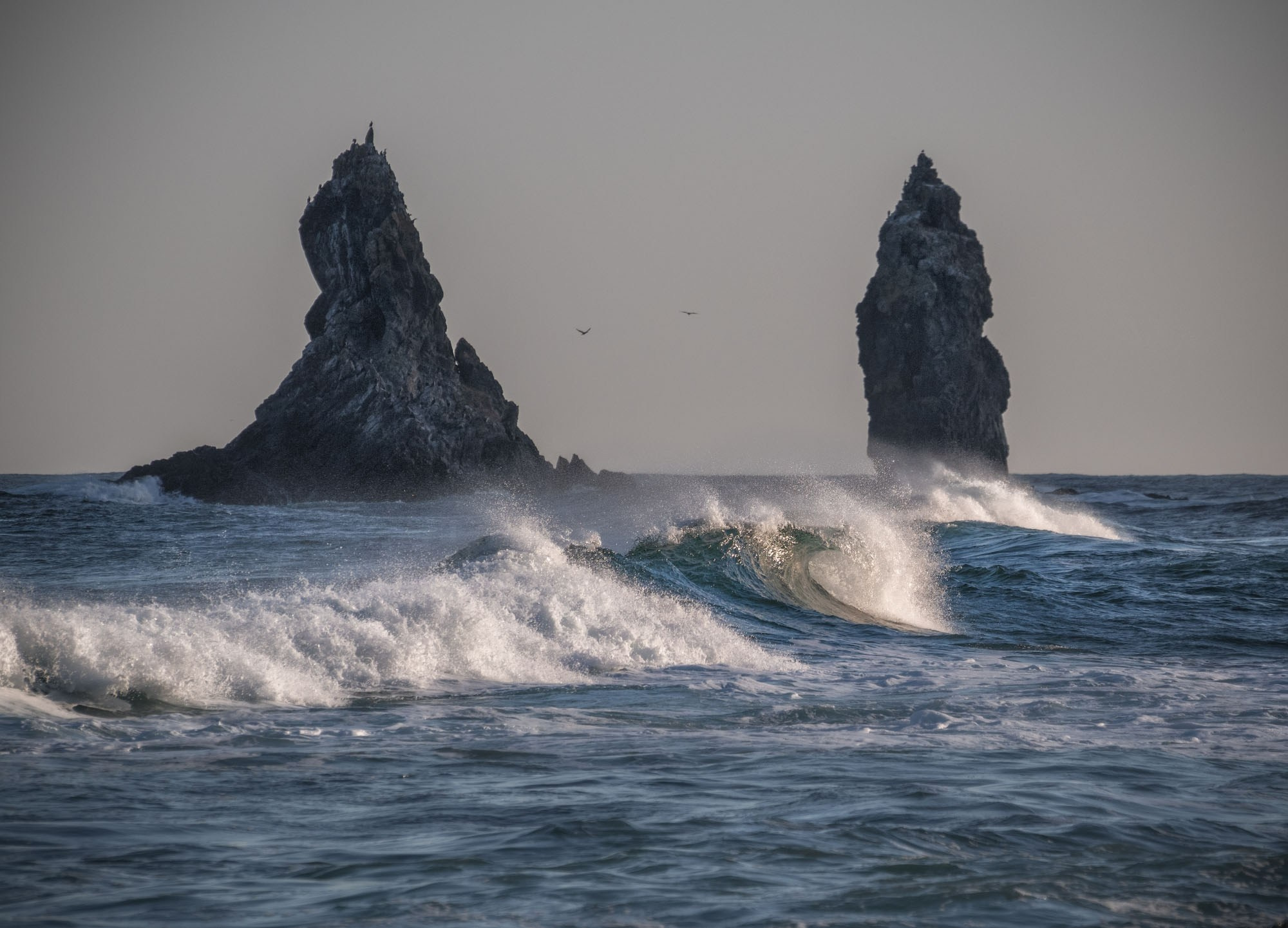 Фототур в Приморье 2027