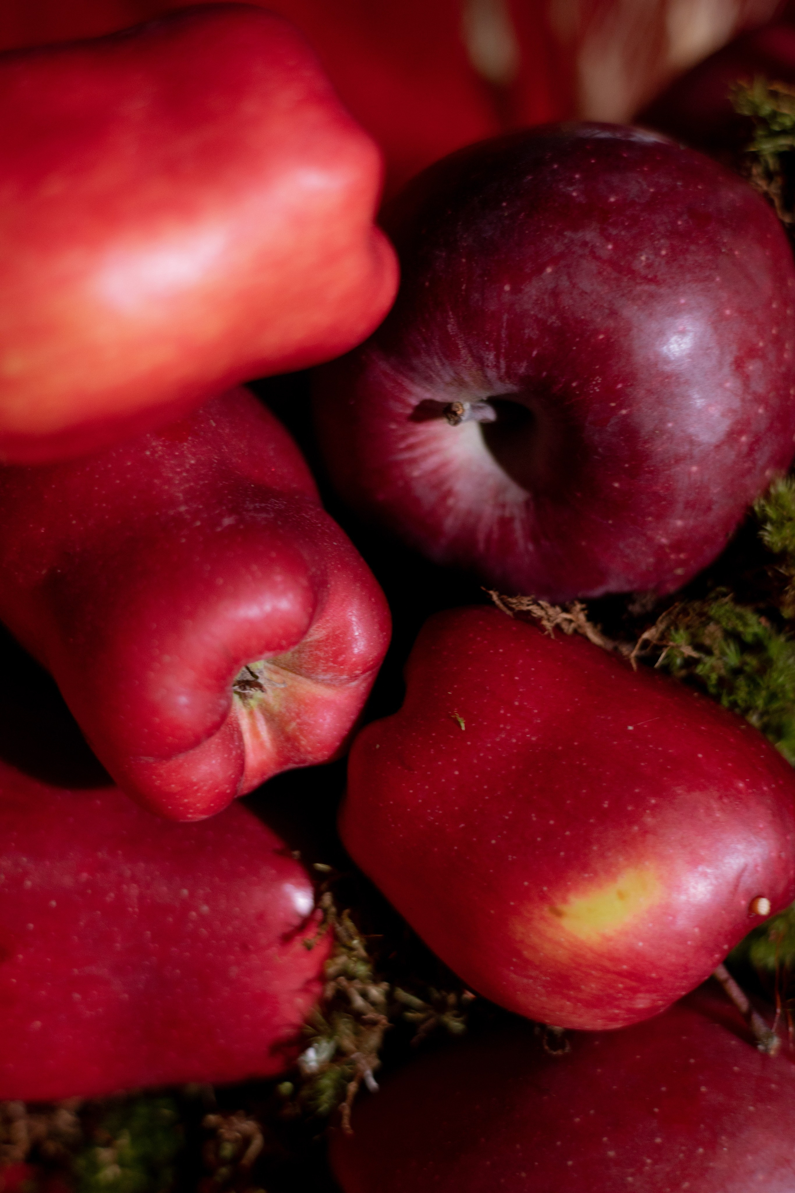 Новогодний корпоратив в фольклорном стиле. Особняк Лемана. Оформление свадеб, декор свадеб Вера Маркова, Москва