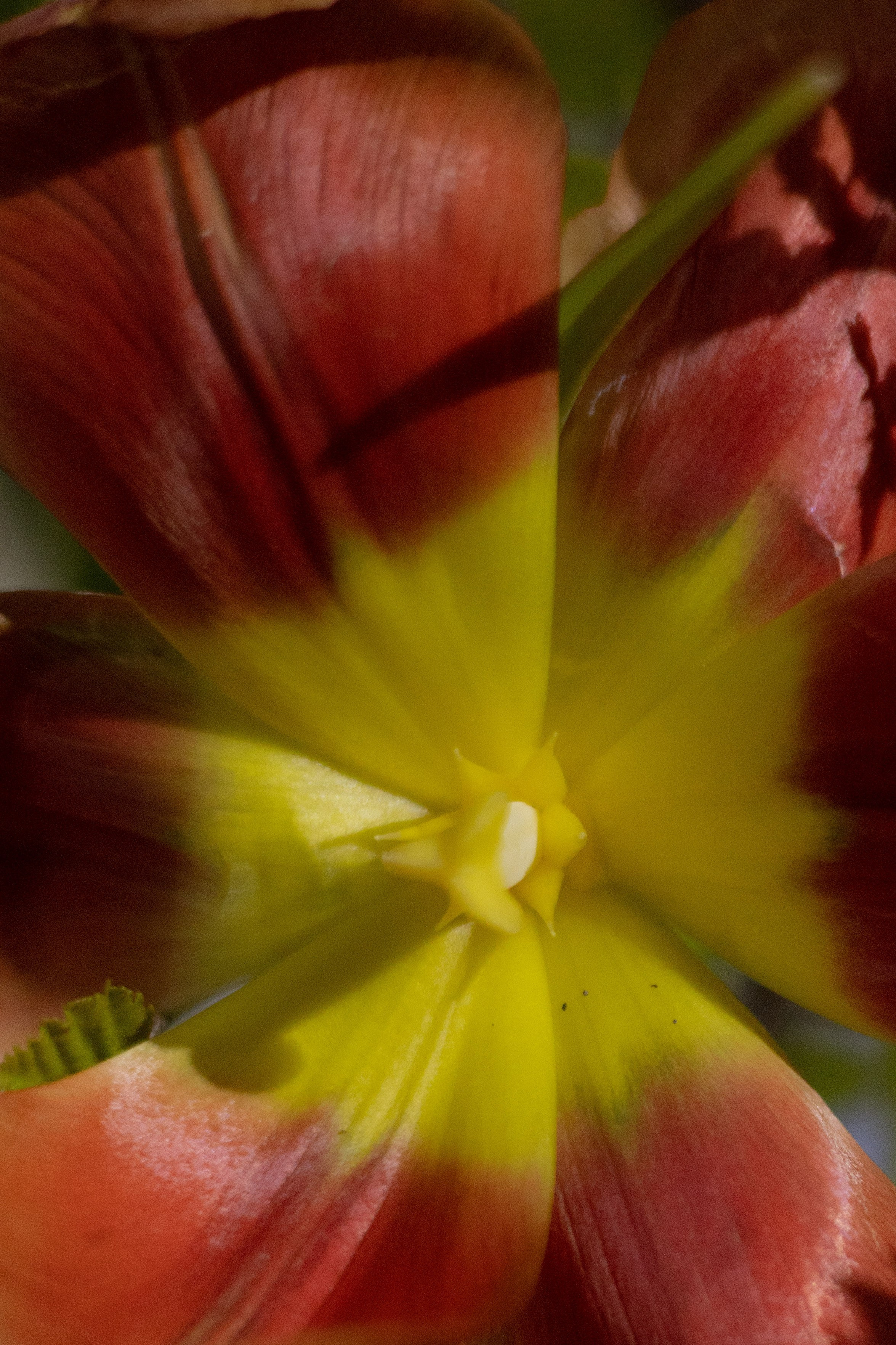 Оформление Отчетного концерта Музыкальной школы Глазунова. Оформление свадеб, декор свадеб Вера Маркова, Москва