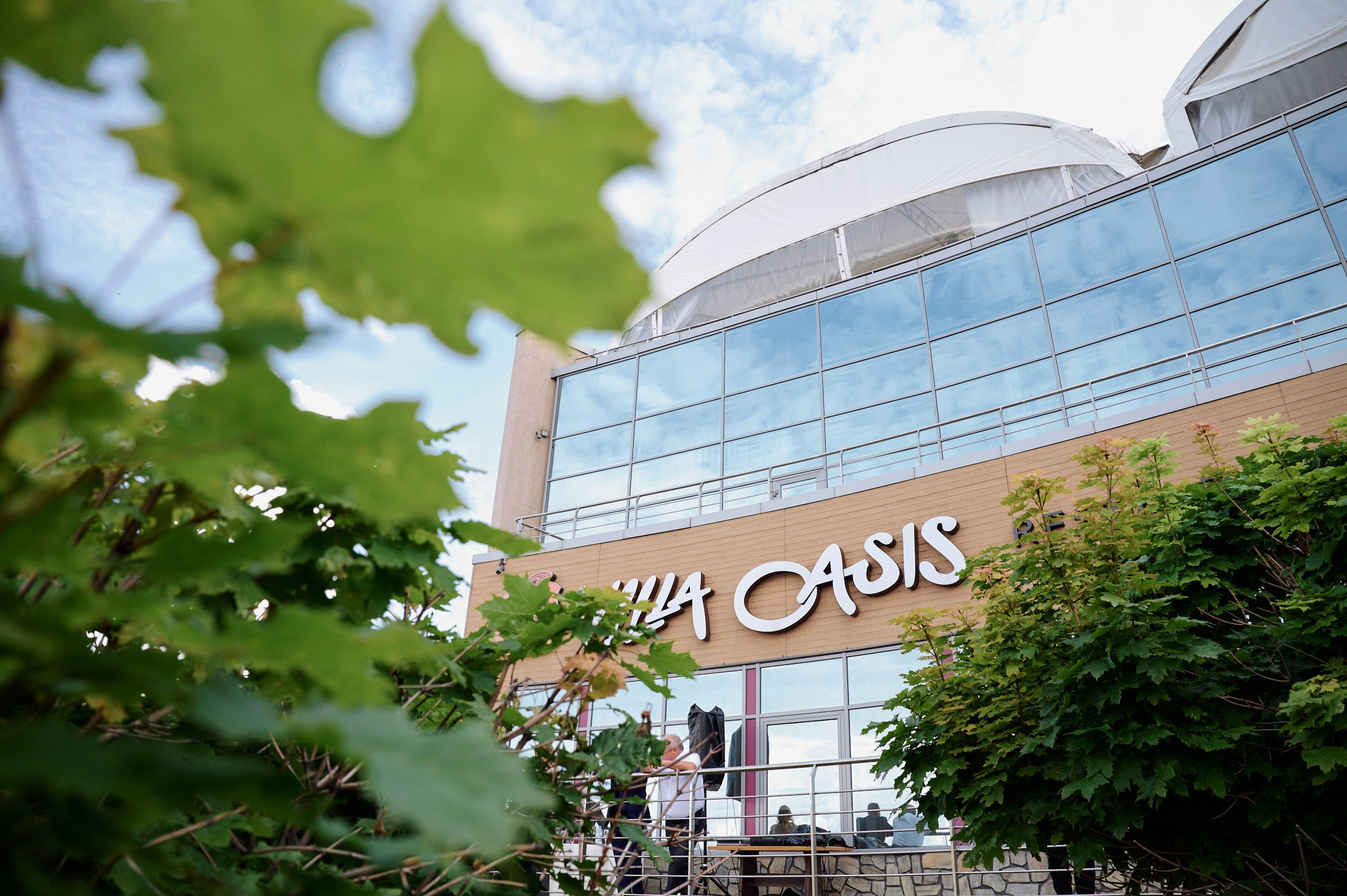 Вила оазис. Маляревич Дмитрий свадебный фотограф