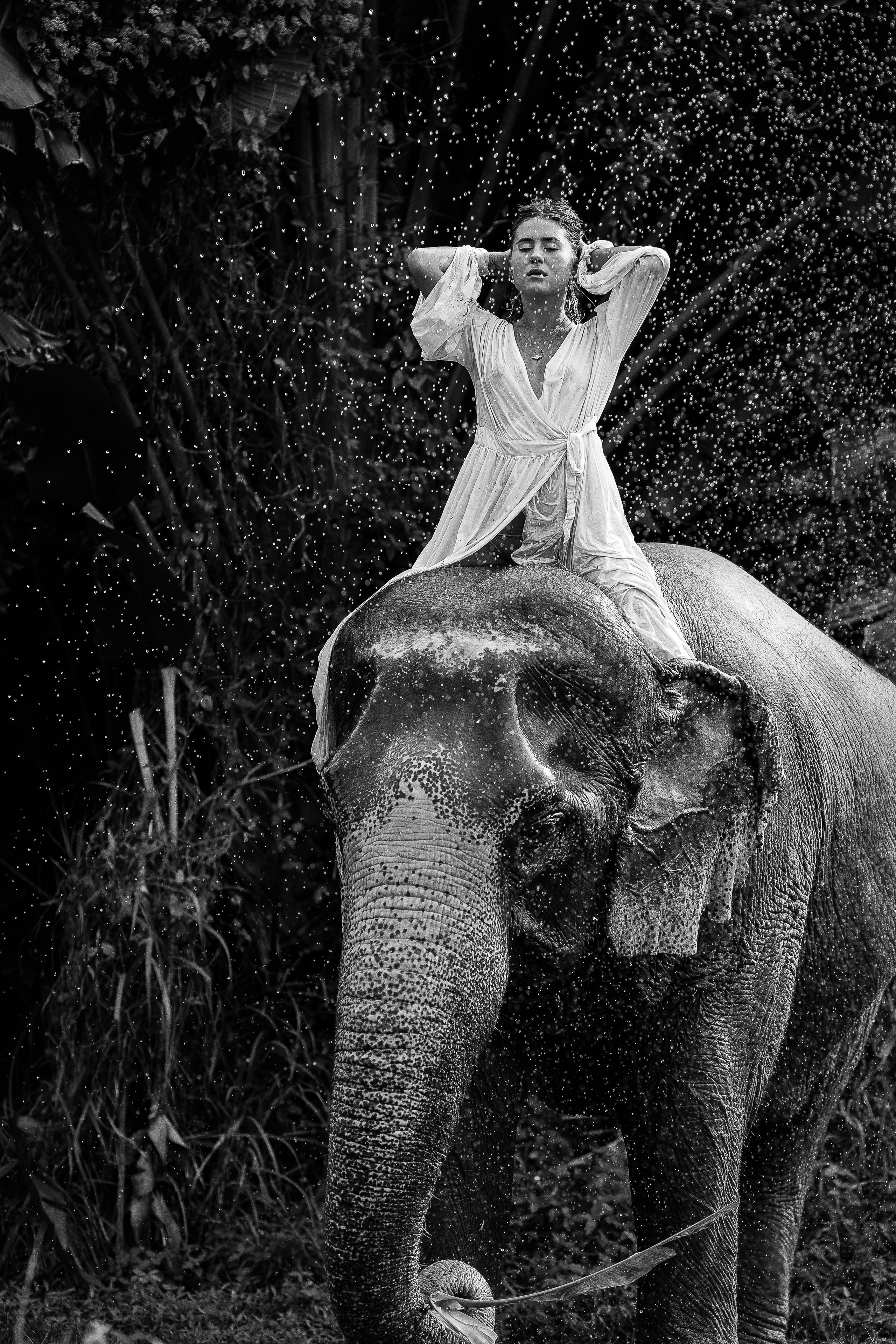 Фотосафари со слоном