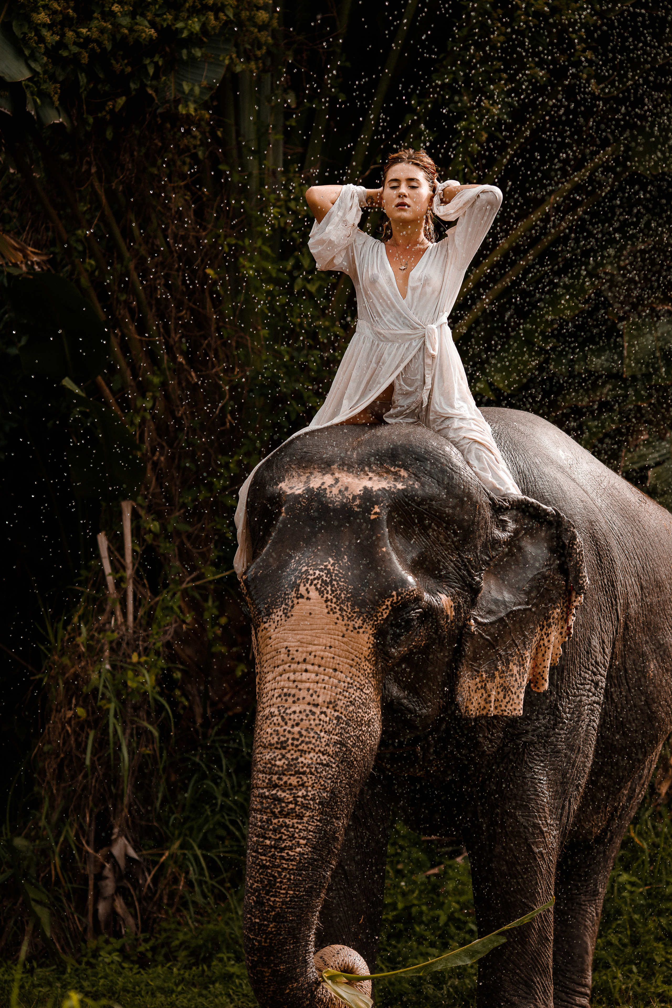 Фотосафари со слоном