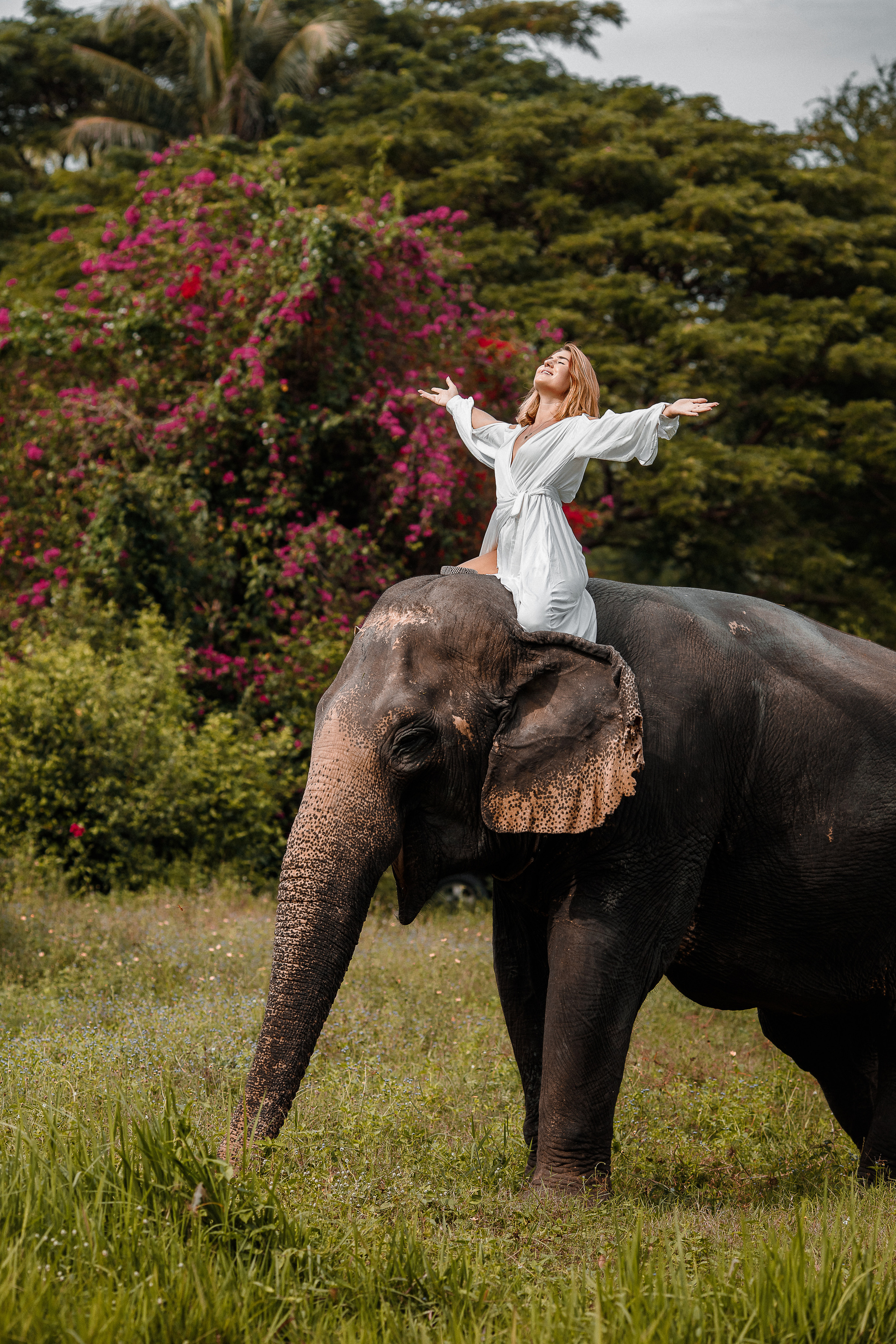 покататься на слоне в паттайе