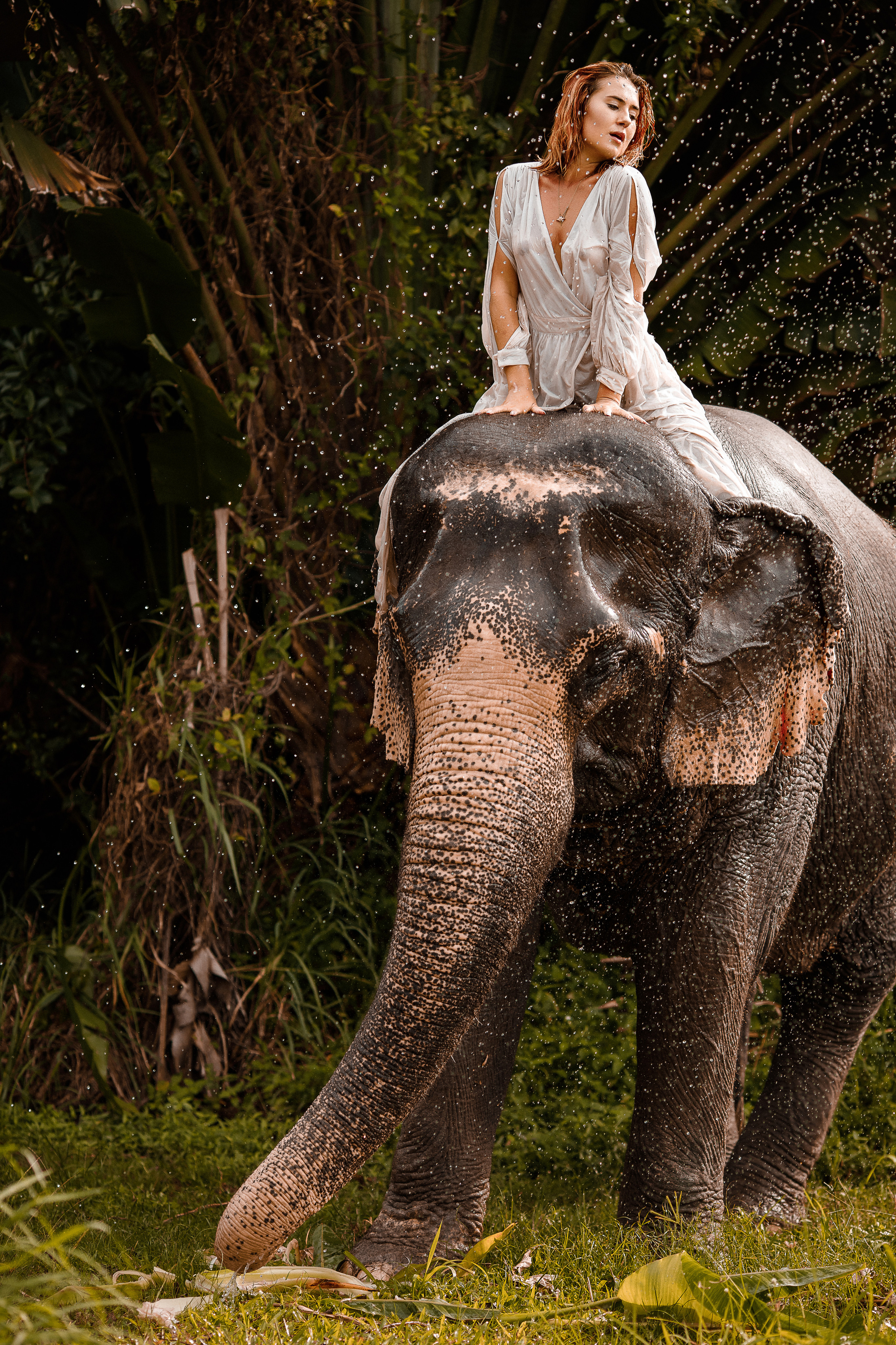 Фотосафари со слоном