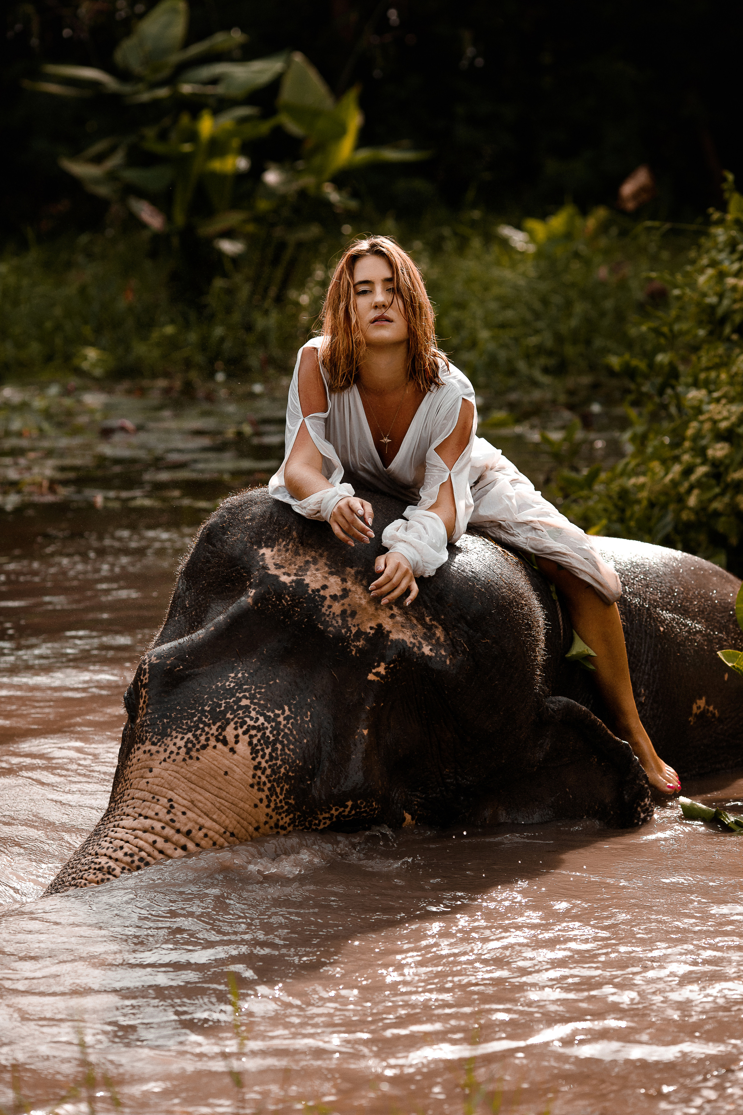 сафари со слоном паттайя таиланд