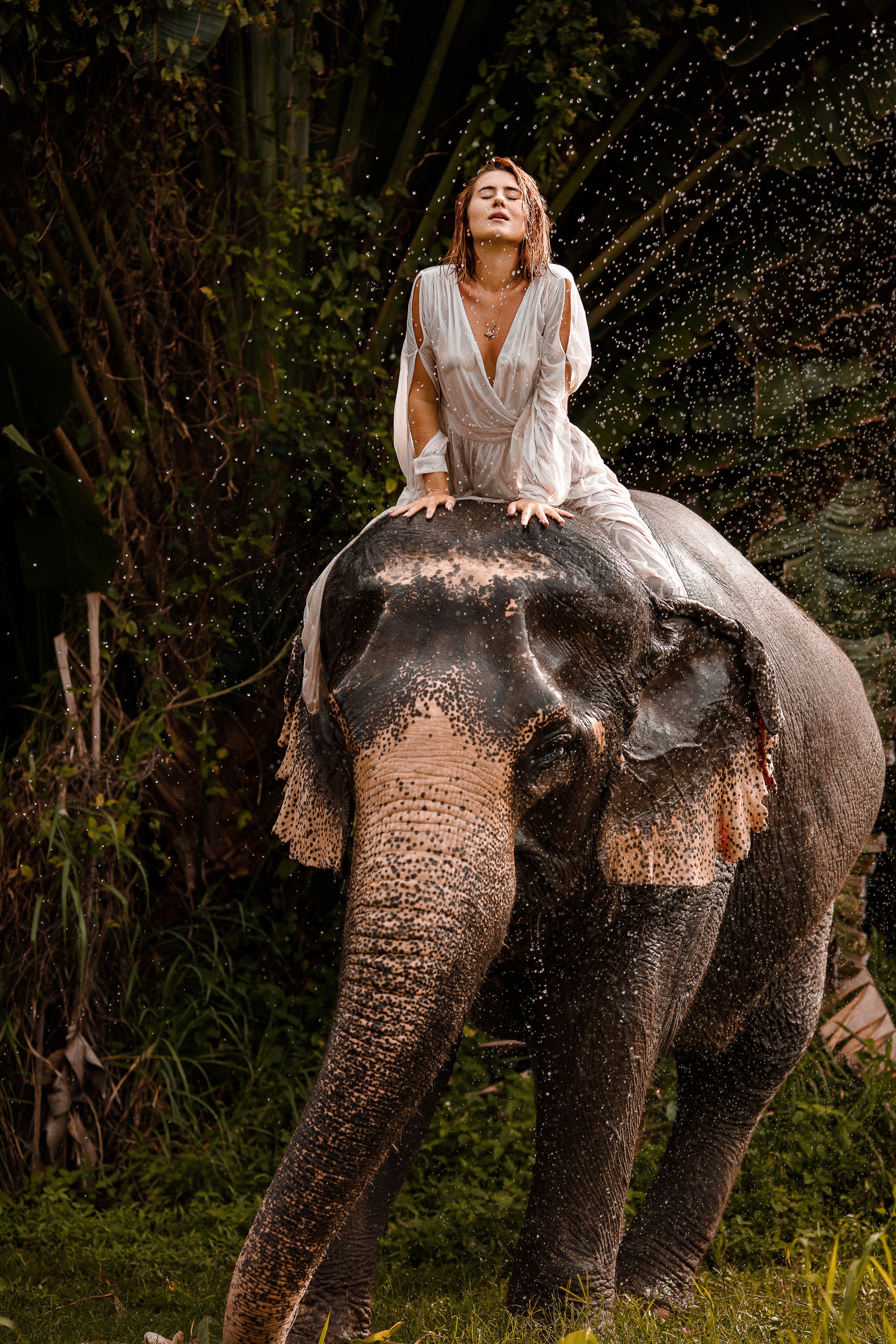 Фотосафари со слоном