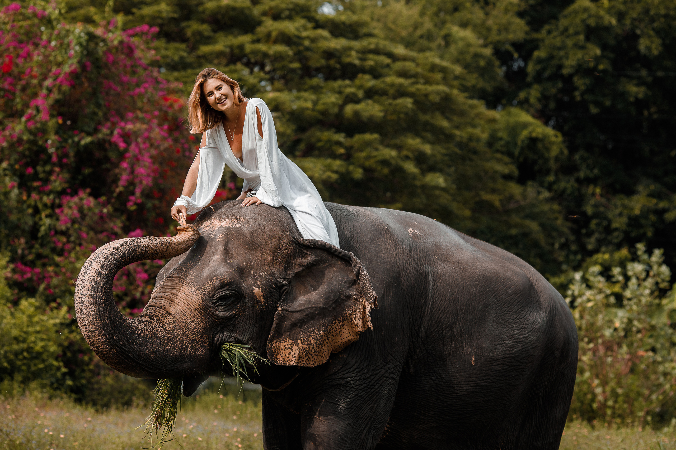 фотосессия со слоном тайланд