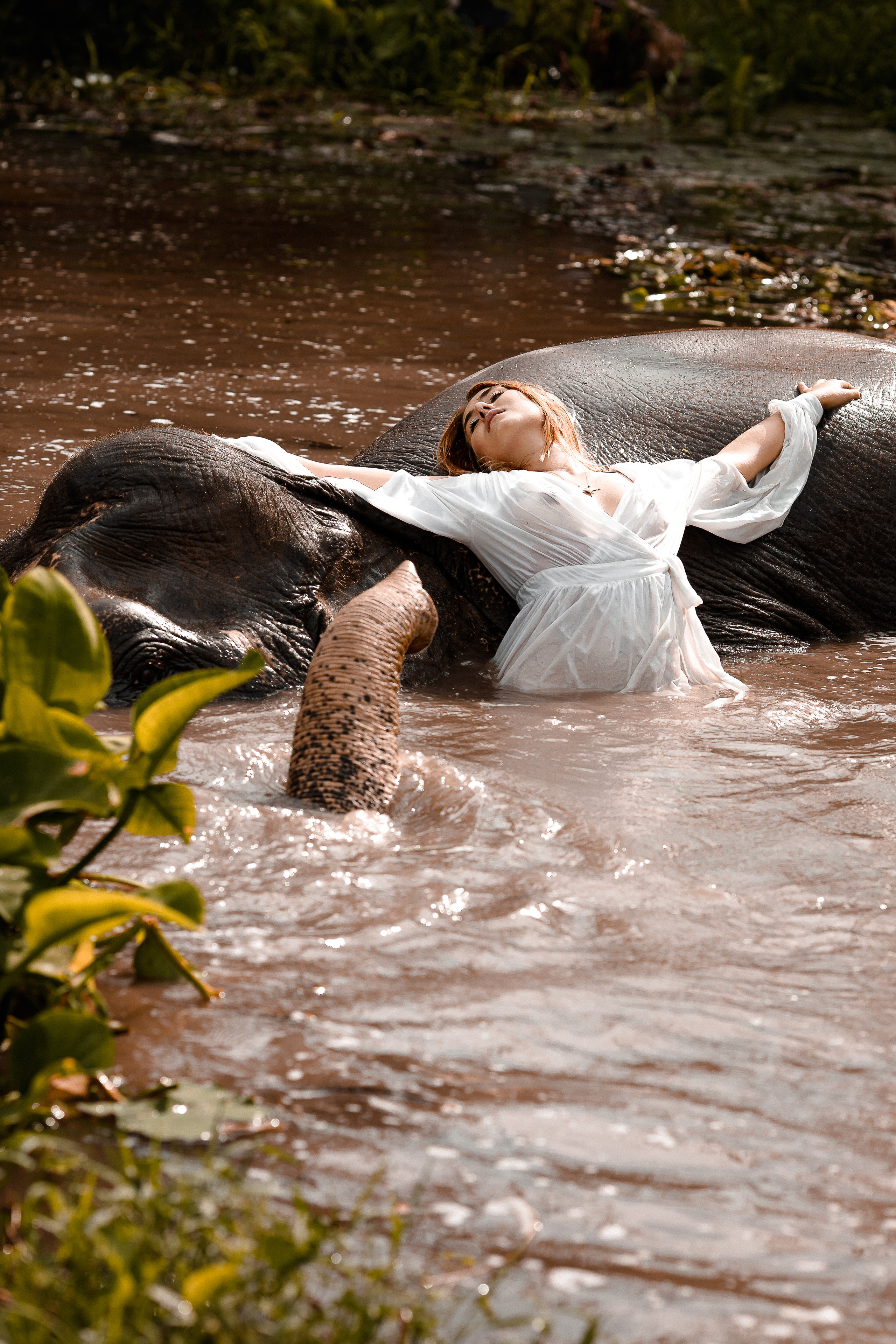 фотосессия со слоном пхукет