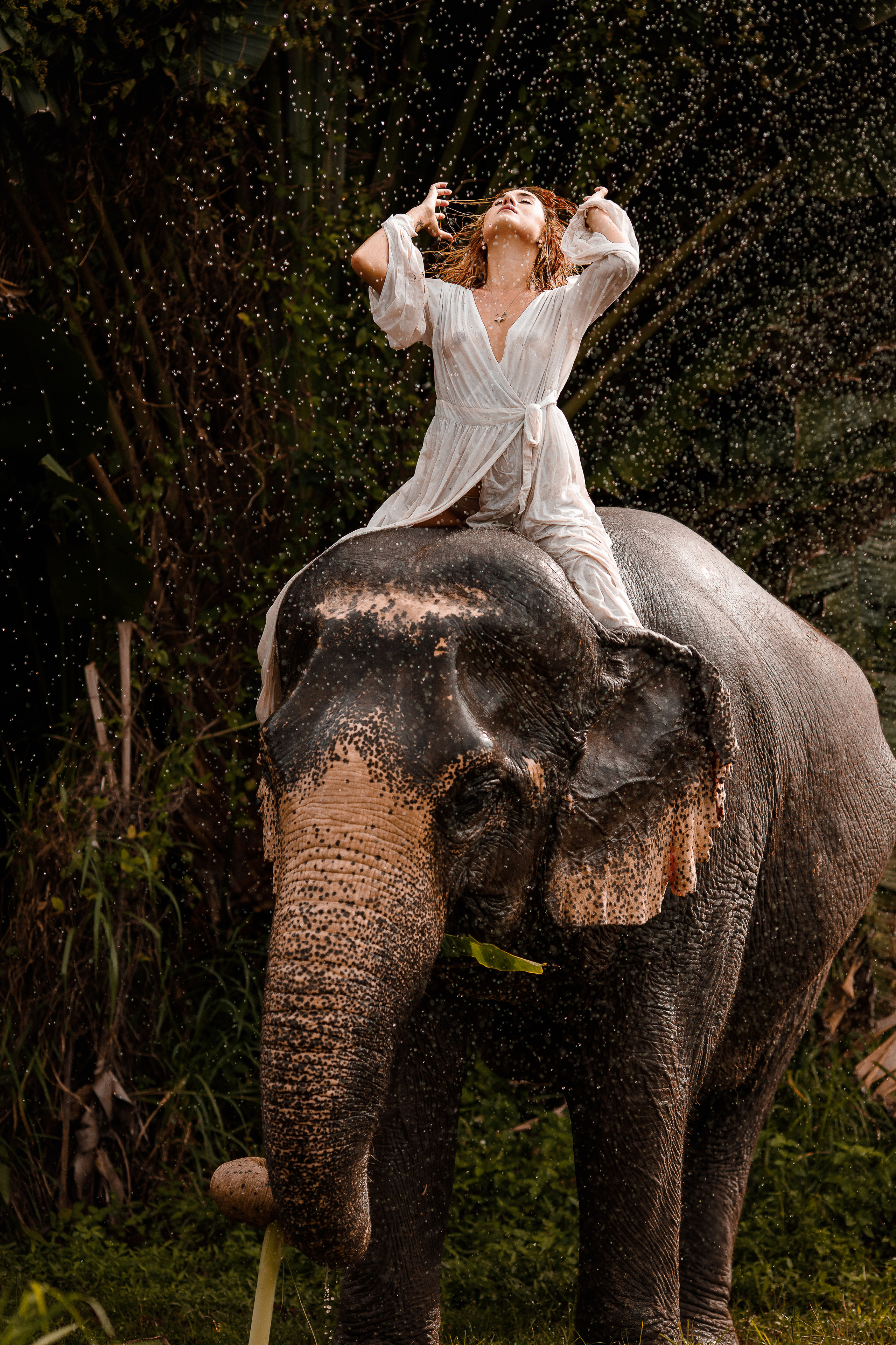 Фотосафари со слоном