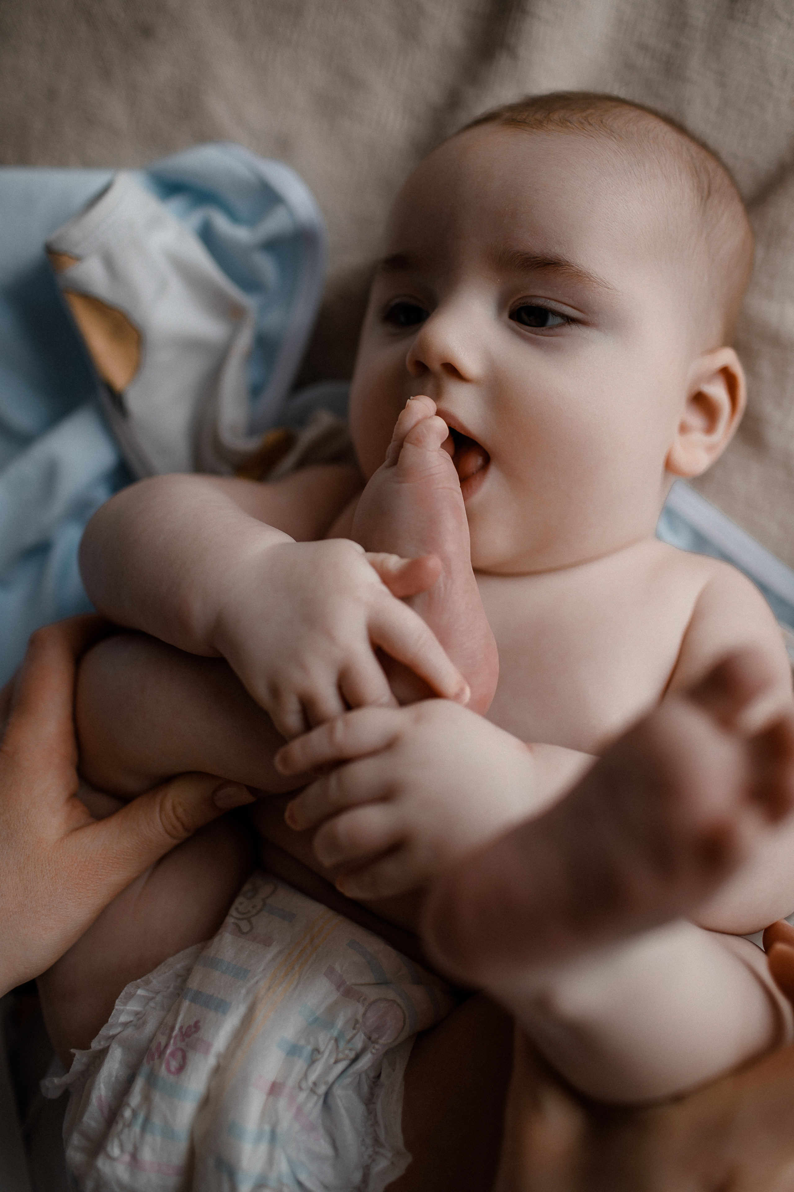 Мадонна — Алина