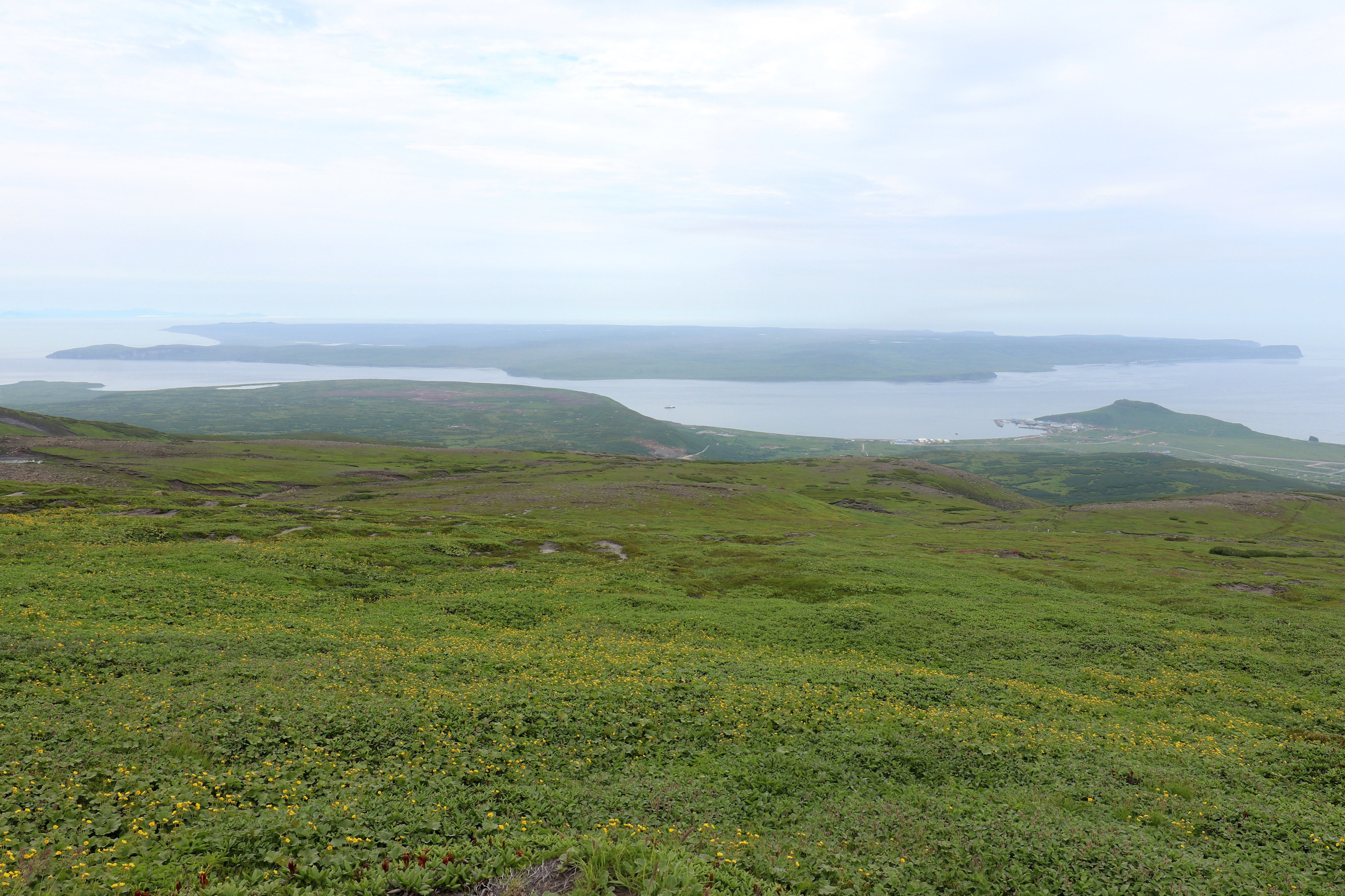 Камчатка и о. Парамушир. Июль 2024. Путешественник-фотограф из Санкт-Петербурга Татьяна Свистулина