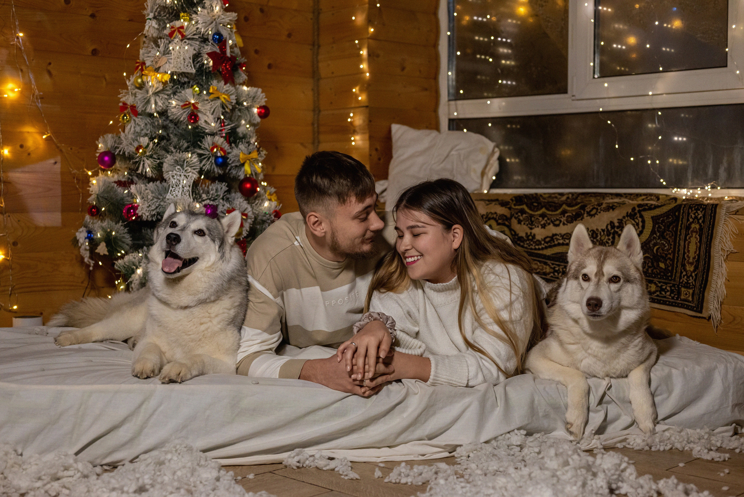 Фотопроект с хаски 2024 г. Фотограф в городе Салават