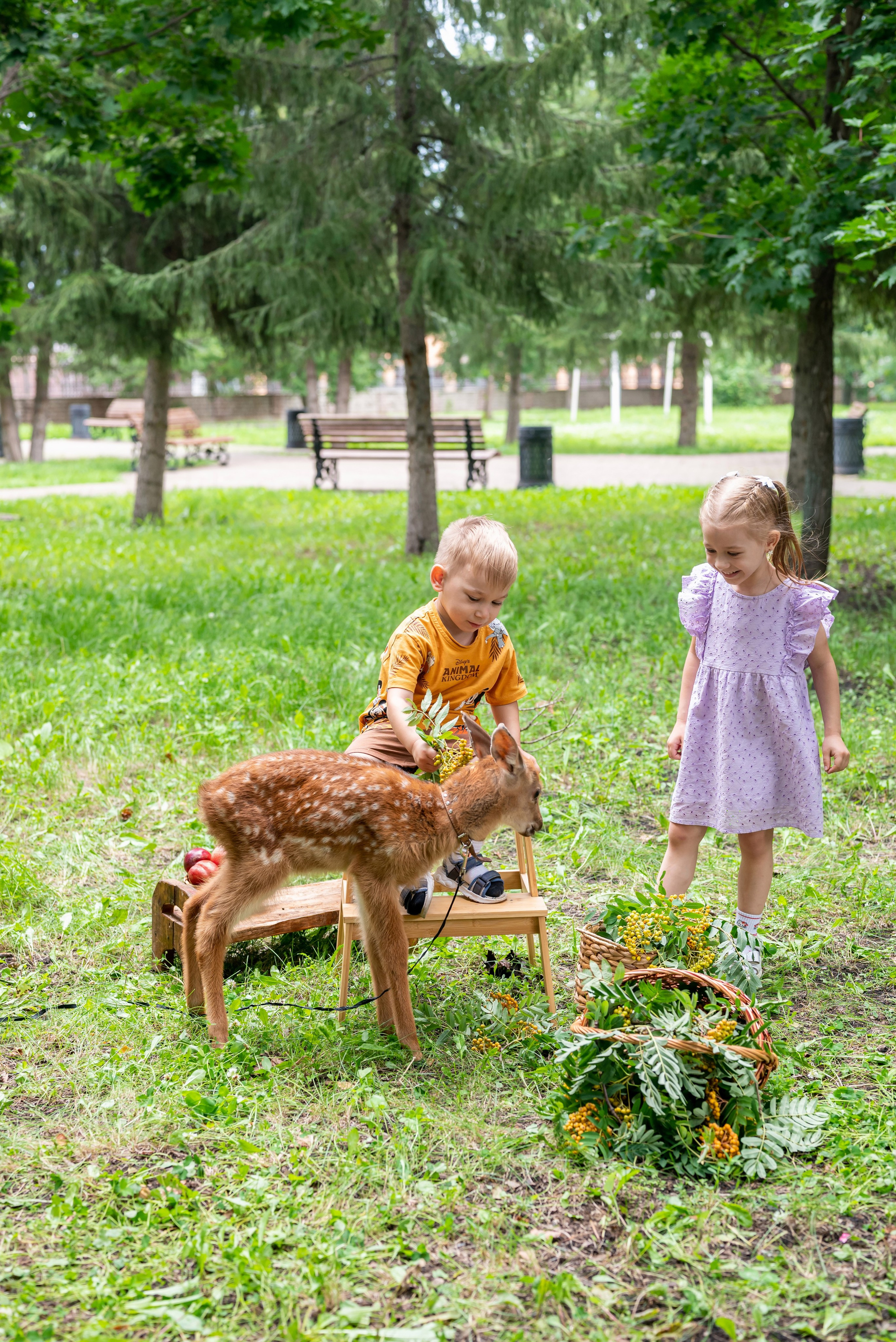 Фотопроект *Оленёнок Бэмби*. Фотограф в городе Салават