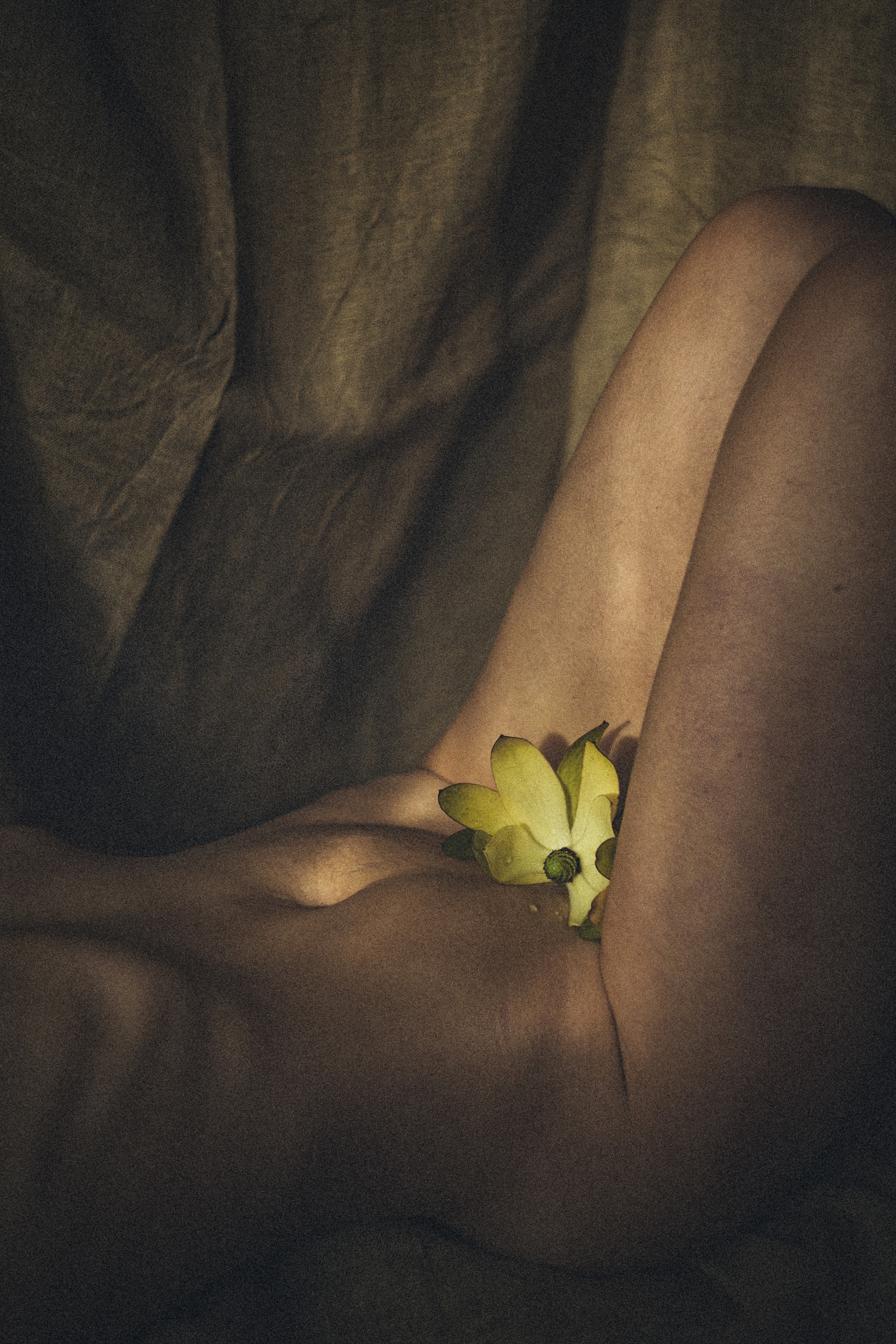 . Фотограф Москва