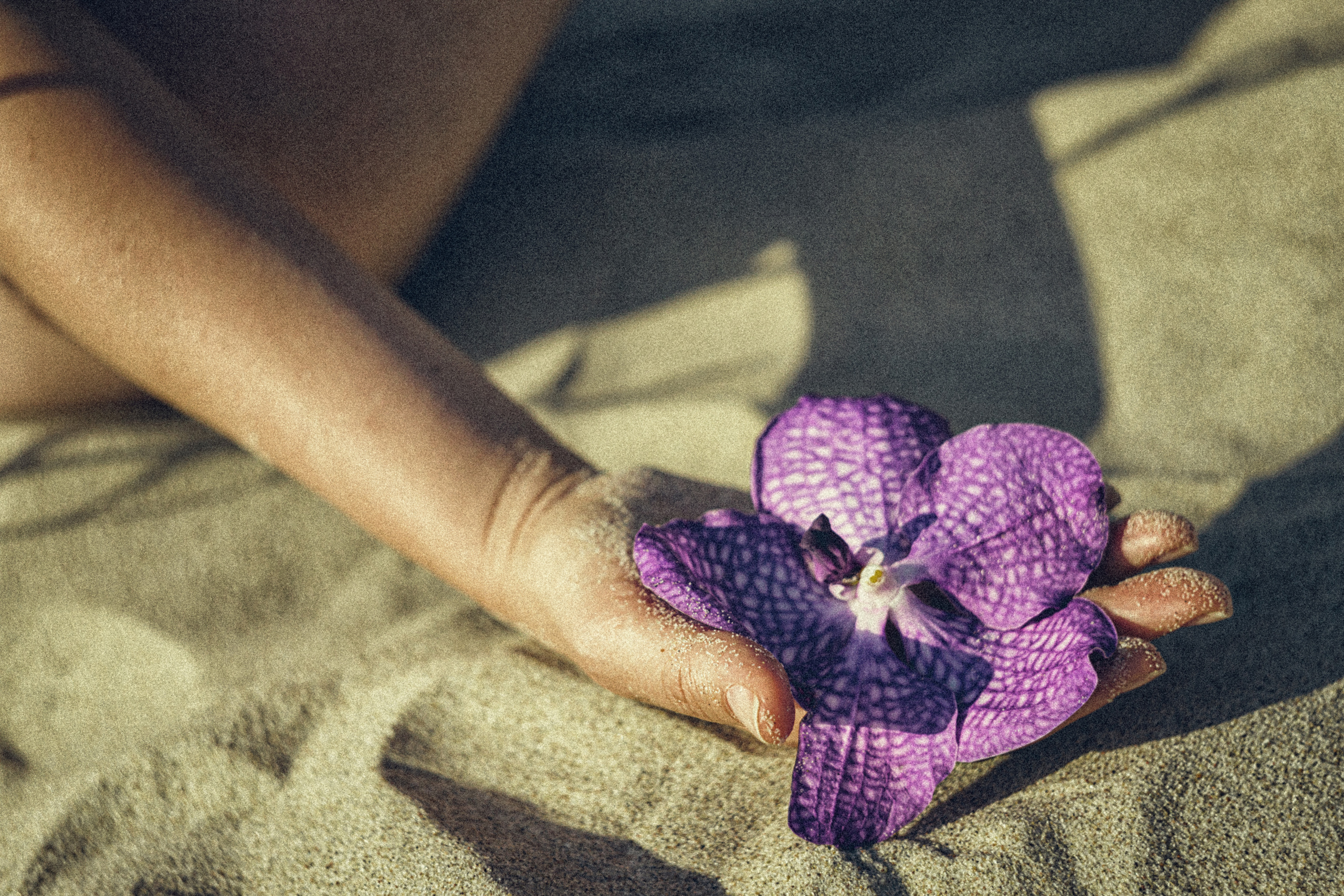 Женский фотограф москва. Фотограф Москва