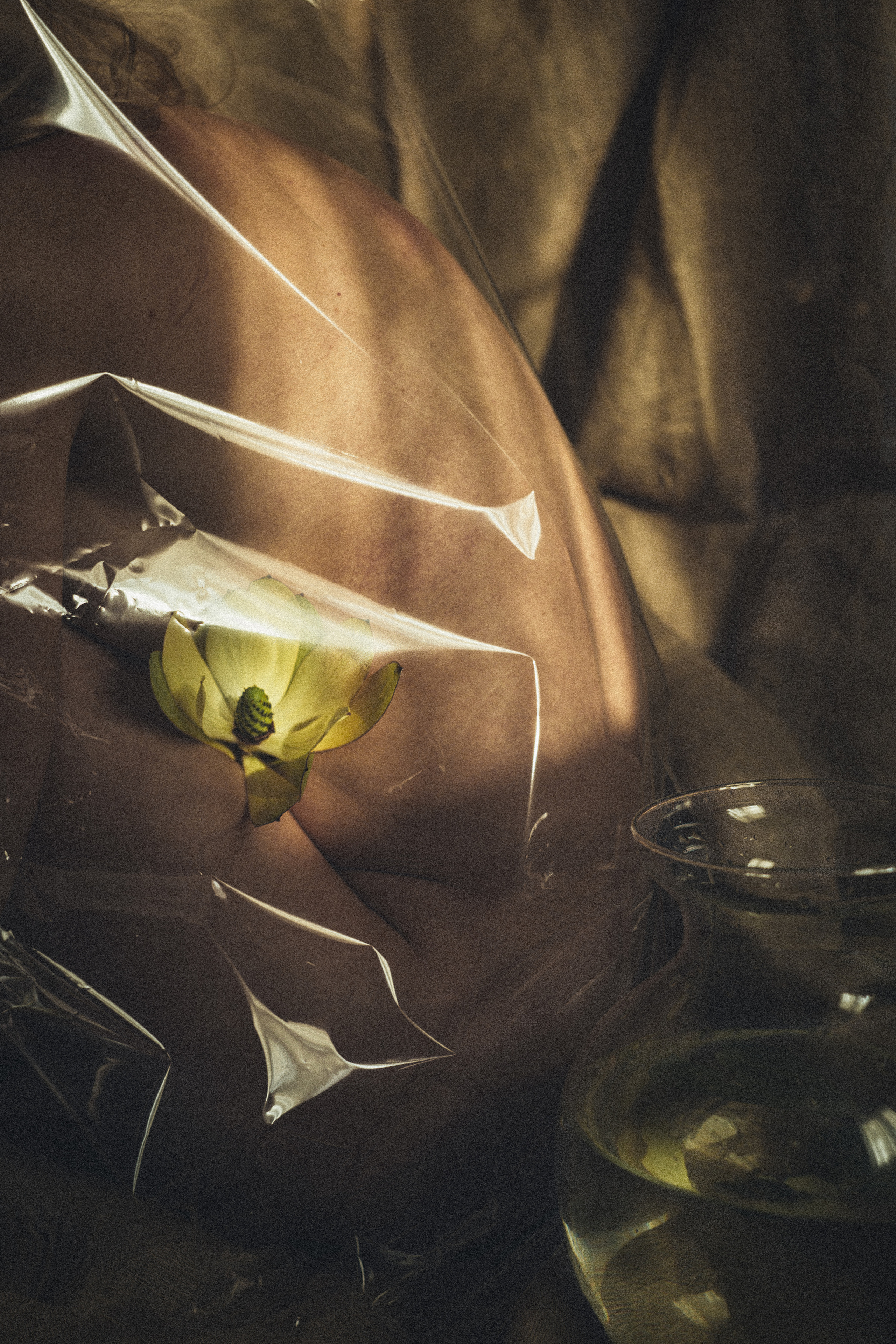 . Фотограф Москва