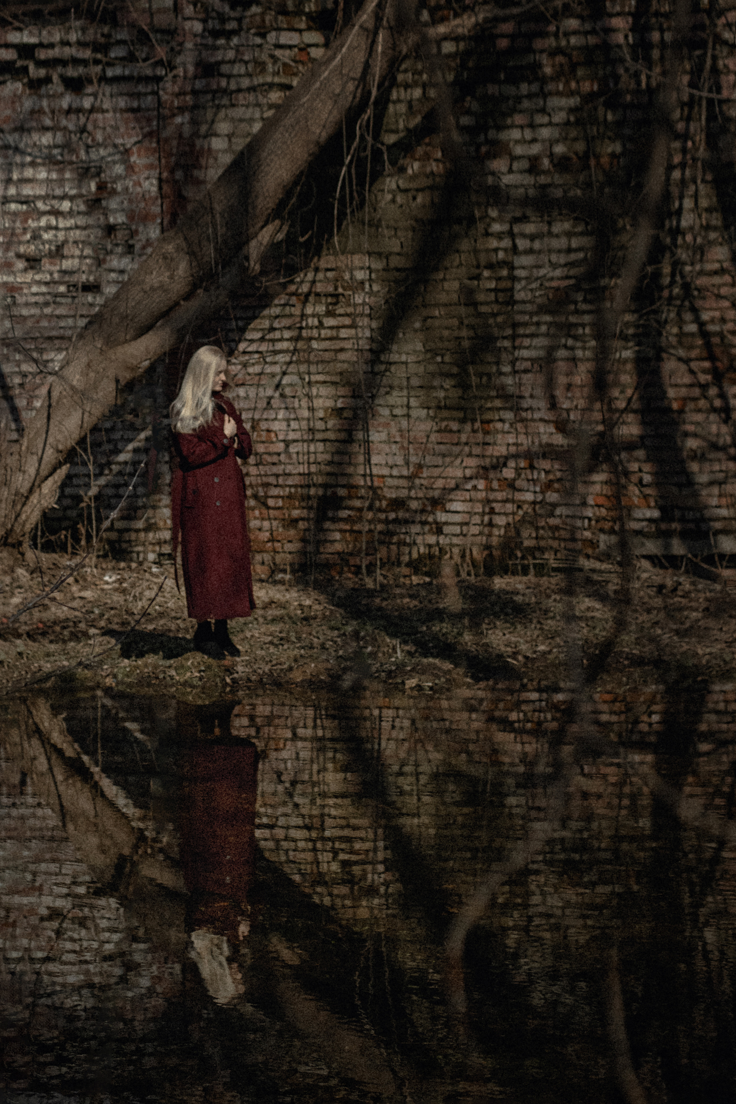 . Фотограф Москва