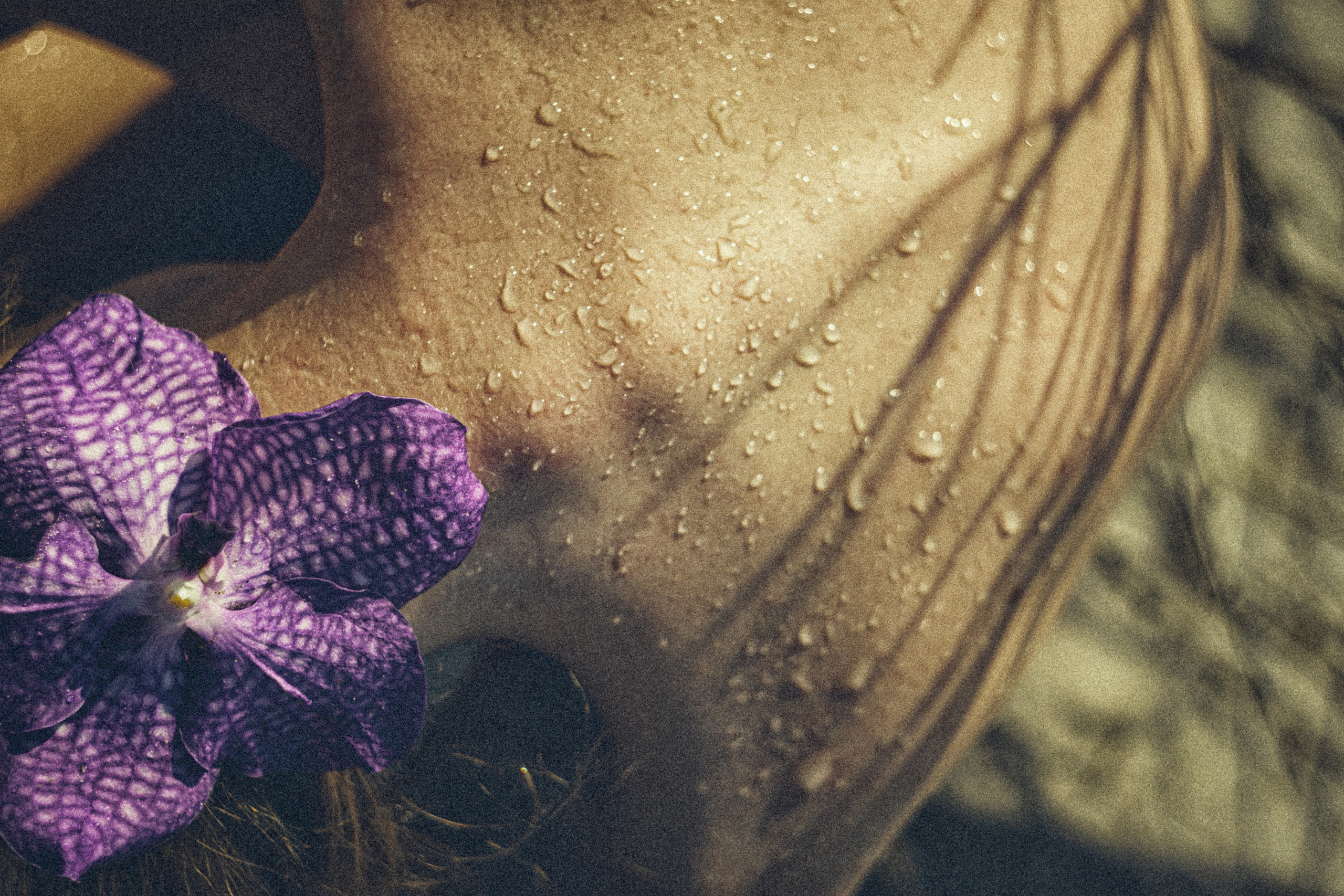 Женский фотограф москва. Фотограф Москва