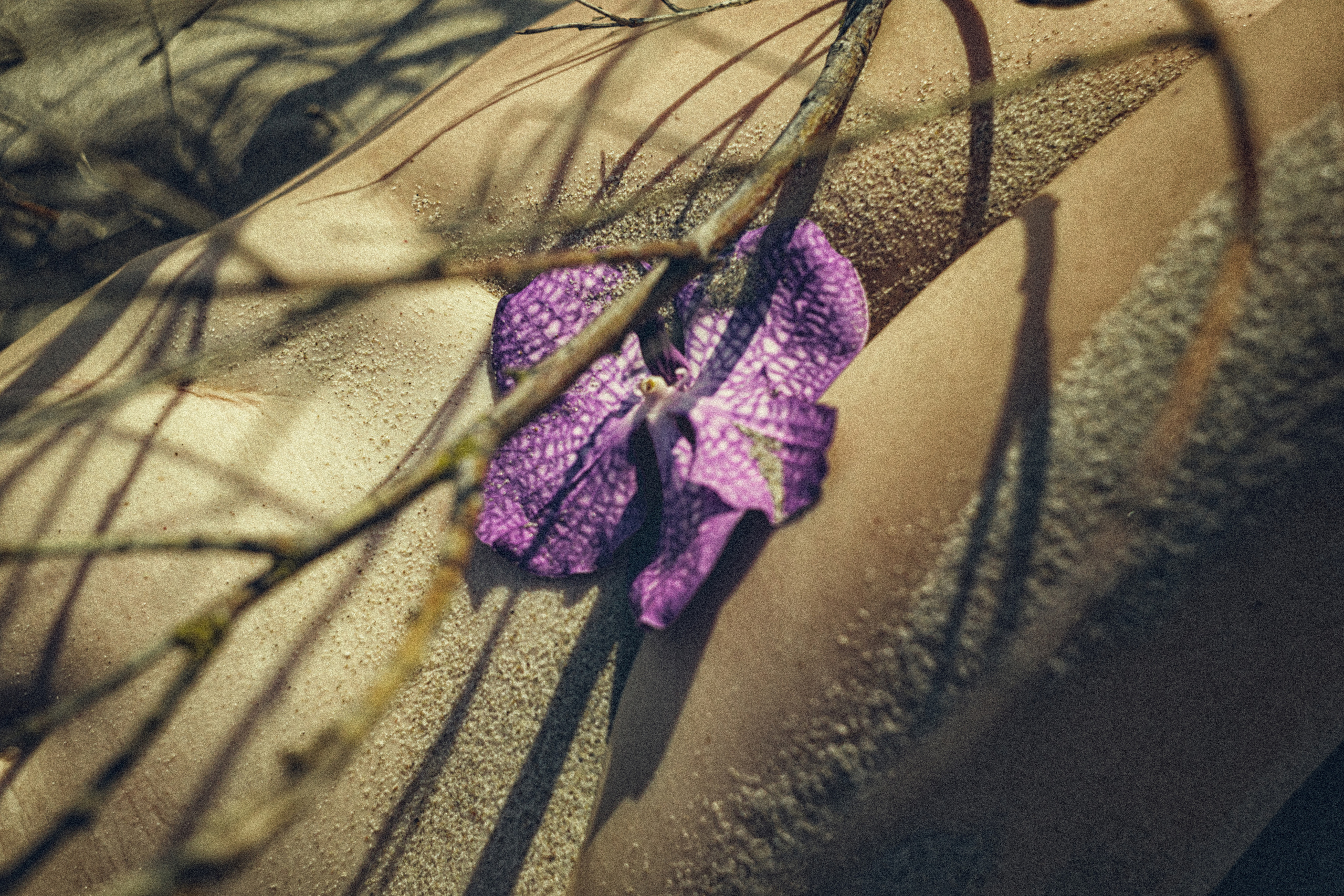 Женский фотограф москва. Фотограф Москва