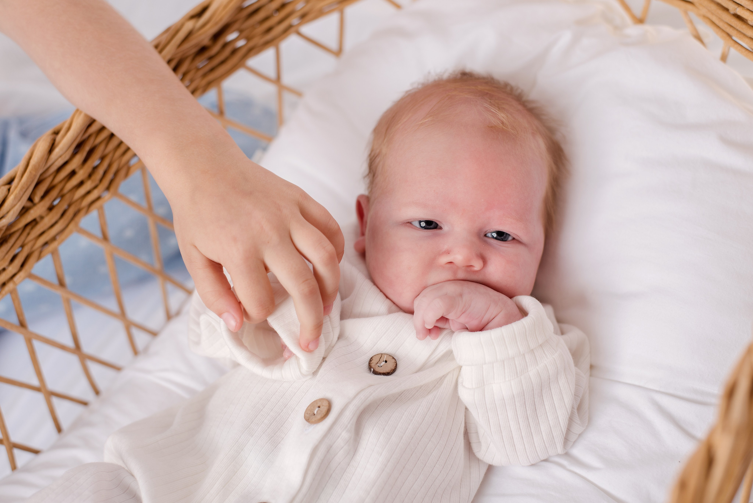 Артем 1 месяц. Детский фотограф в Долгопрудном и Москве