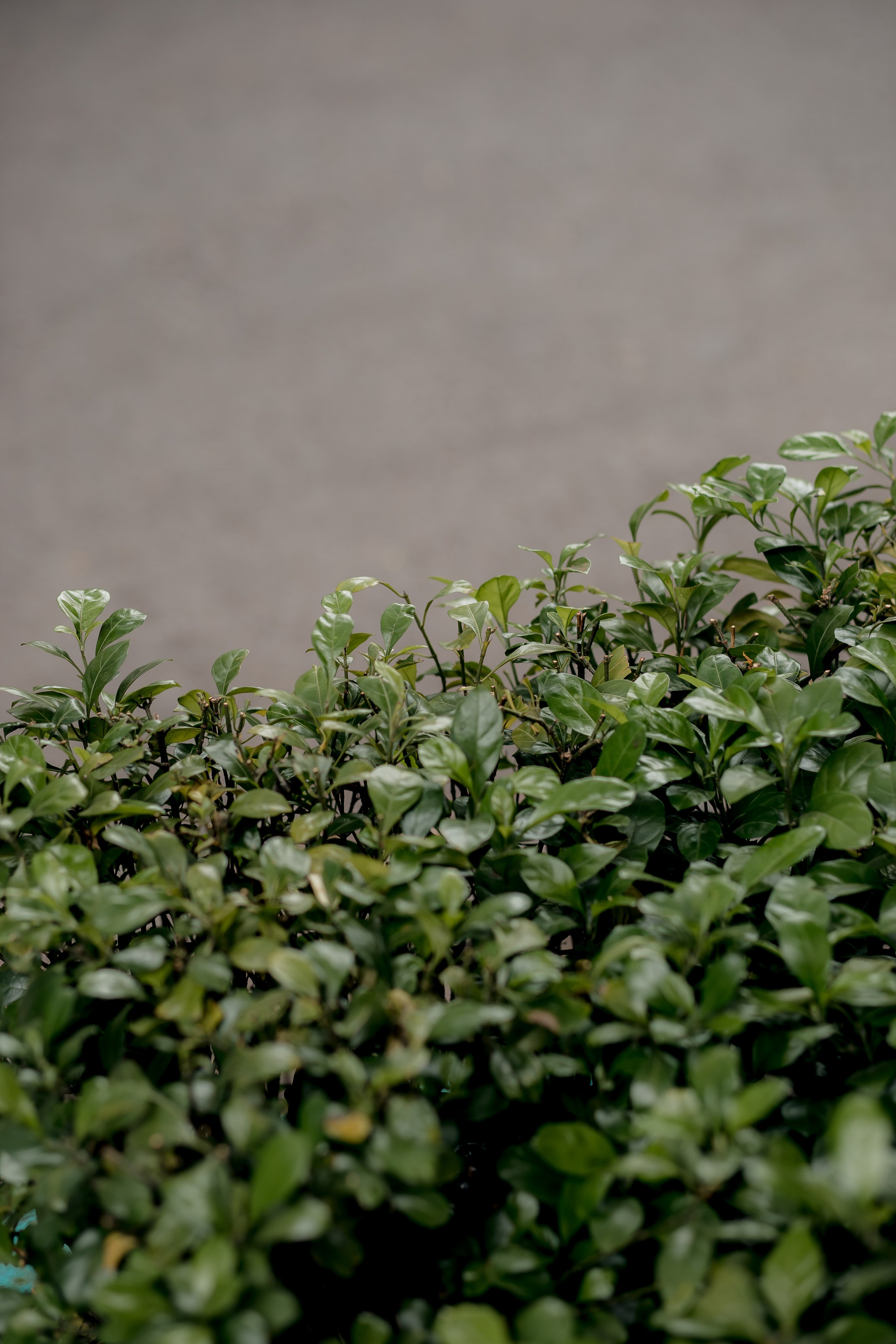 Ho Chi Minh, Vietnam | Part 1| 2025. Art Photographer